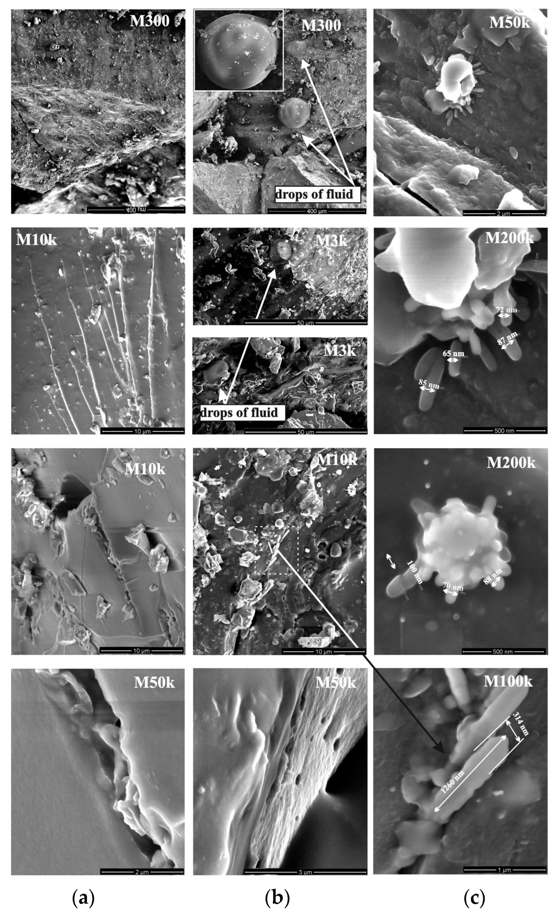 Energies 13 06476 g007