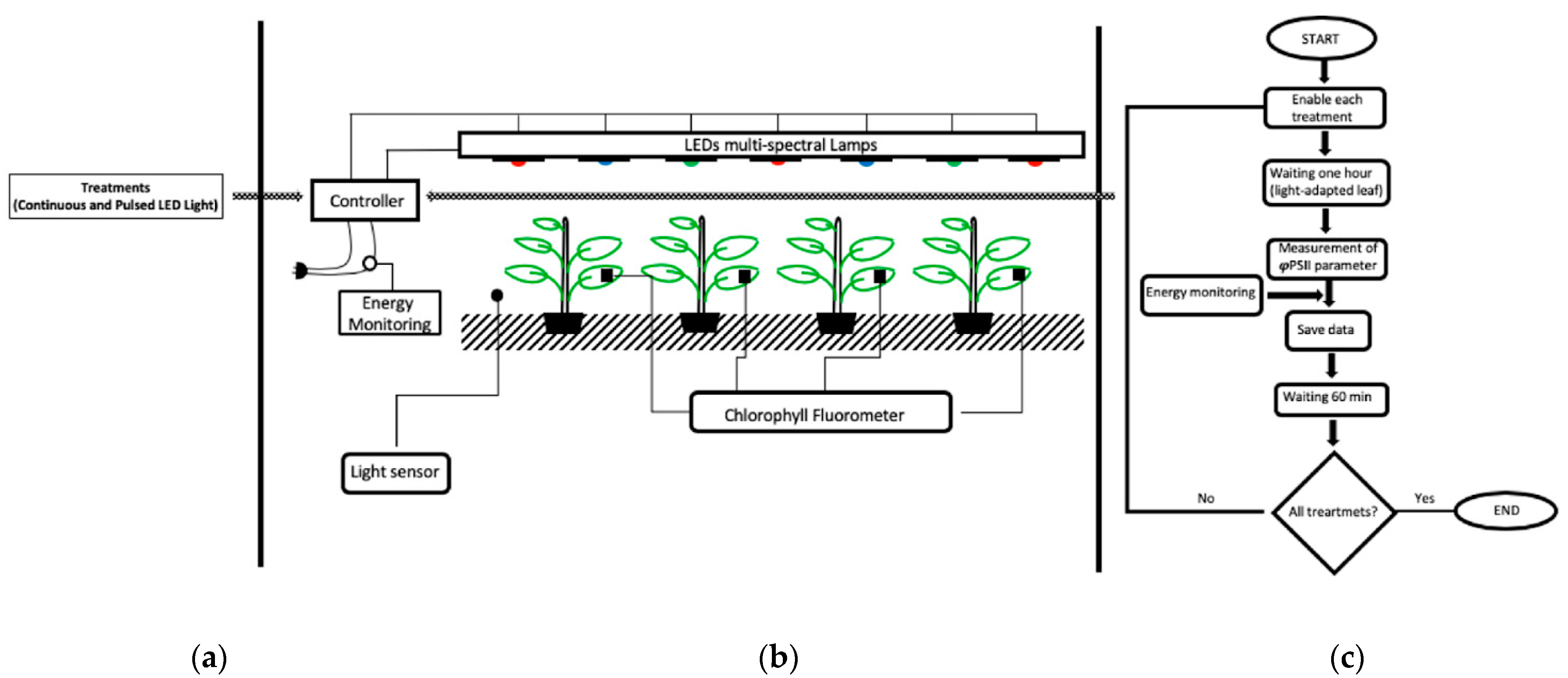 Energies | Free Full-Text | Pulsed LED-Lighting as an Alternative Energy  Savings Technique for Vertical Farms and Plant Factories
