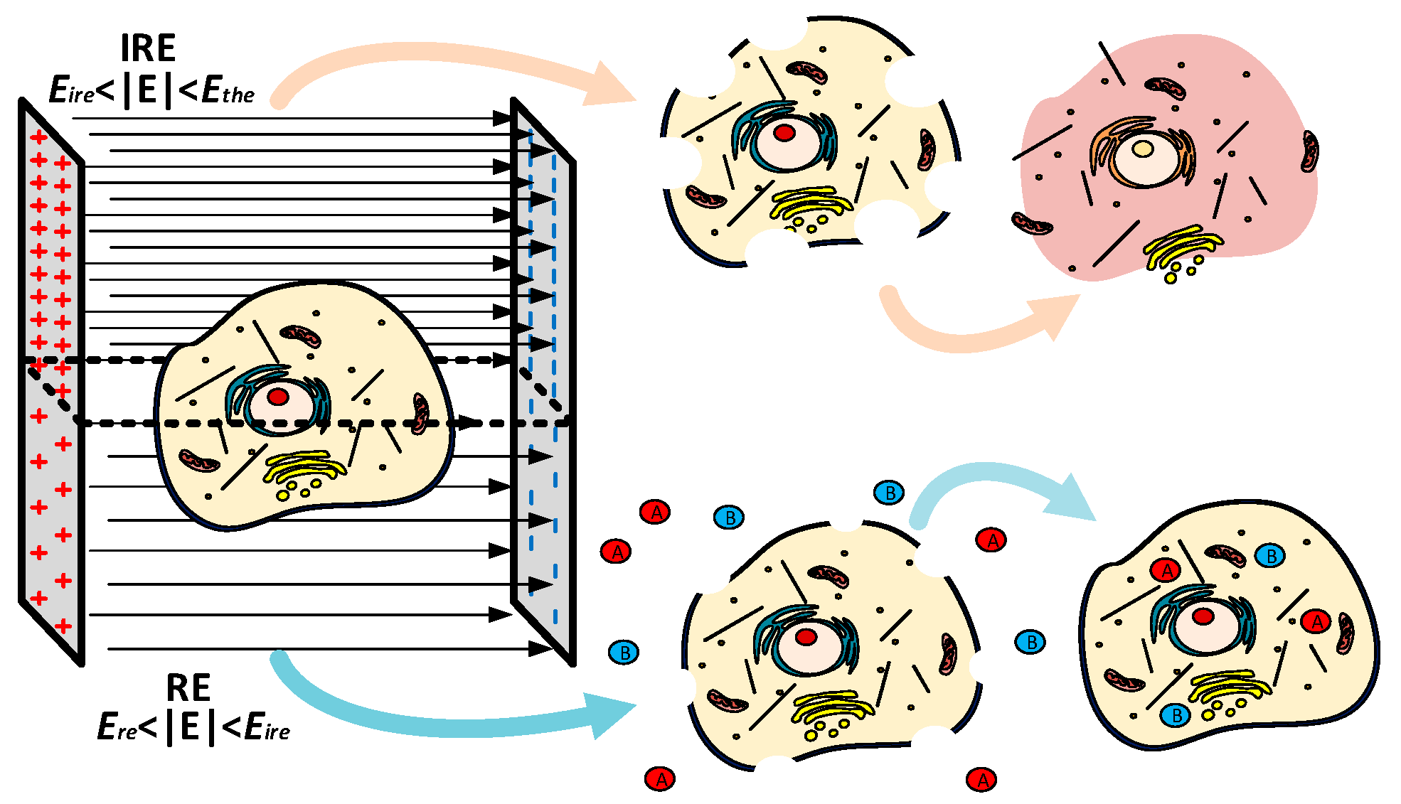 Energies 14 01892 g001