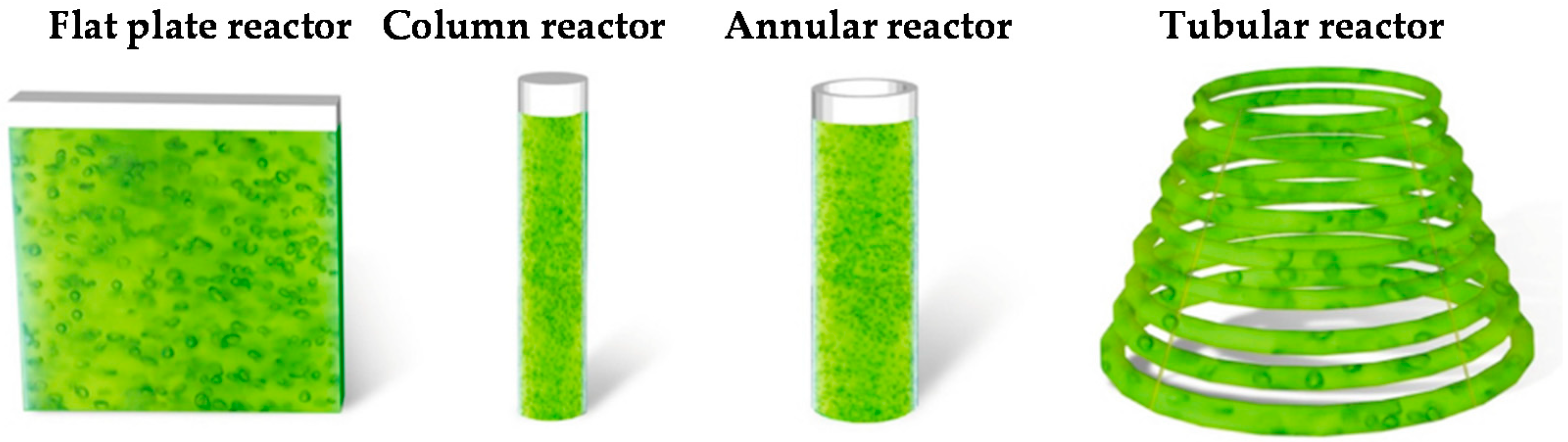 Photobioreactor Upgrade: 2-Liter metal straw with air stone and cleaning  brush