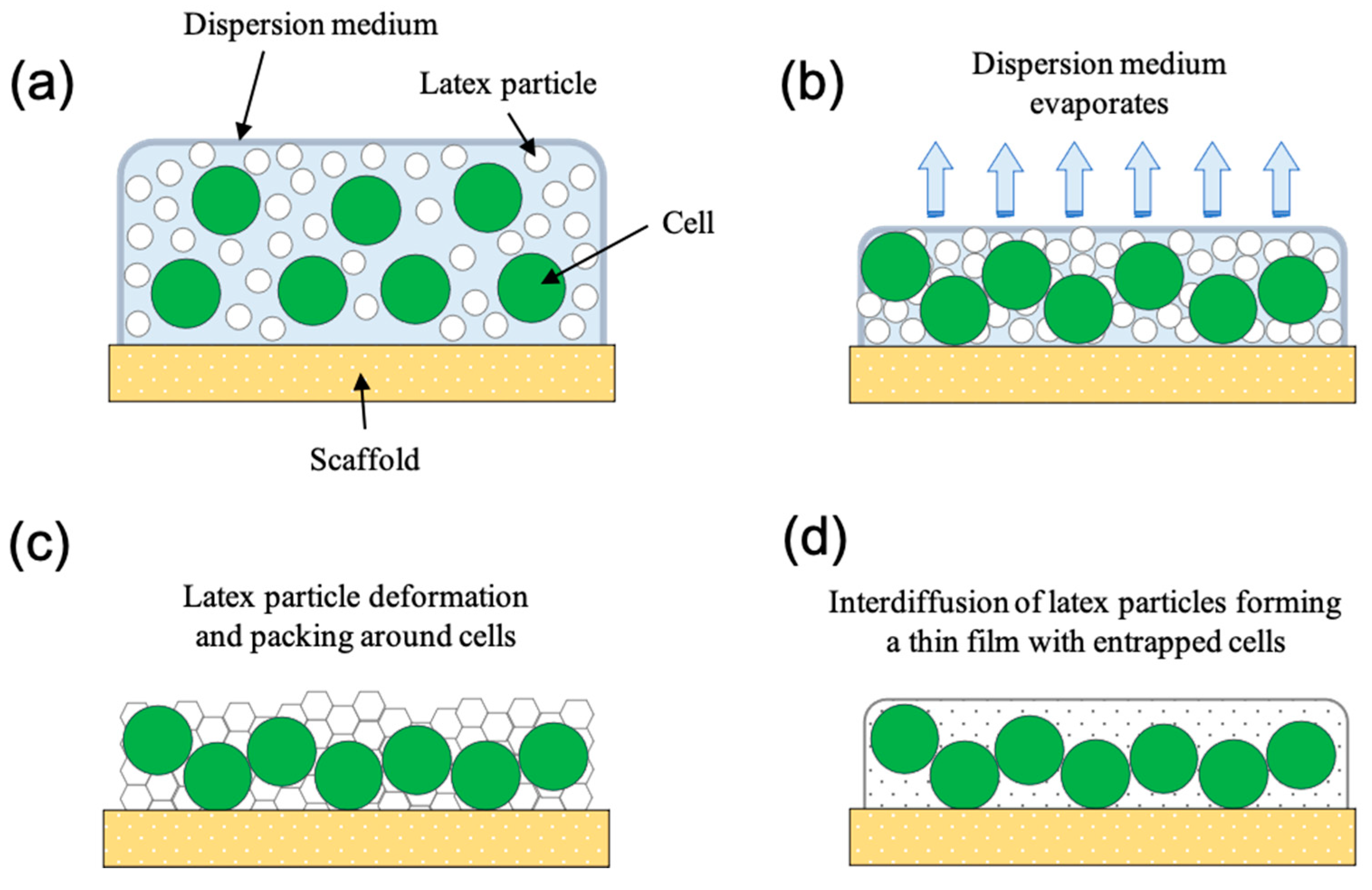 Energies 14 02566 g004 Energies 14 02566 g004