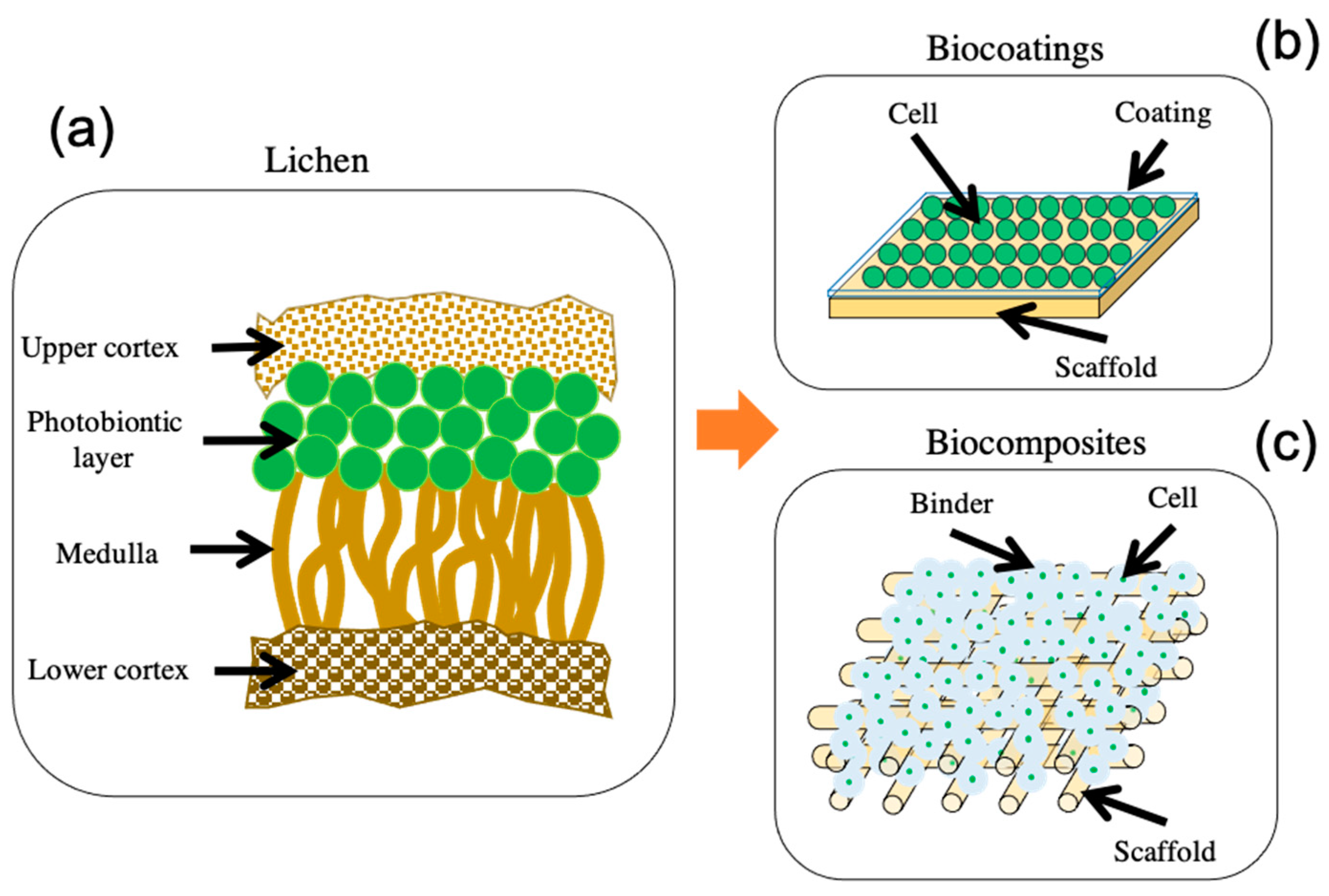 Energies 14 02566 g005 Energies 14 02566 g005