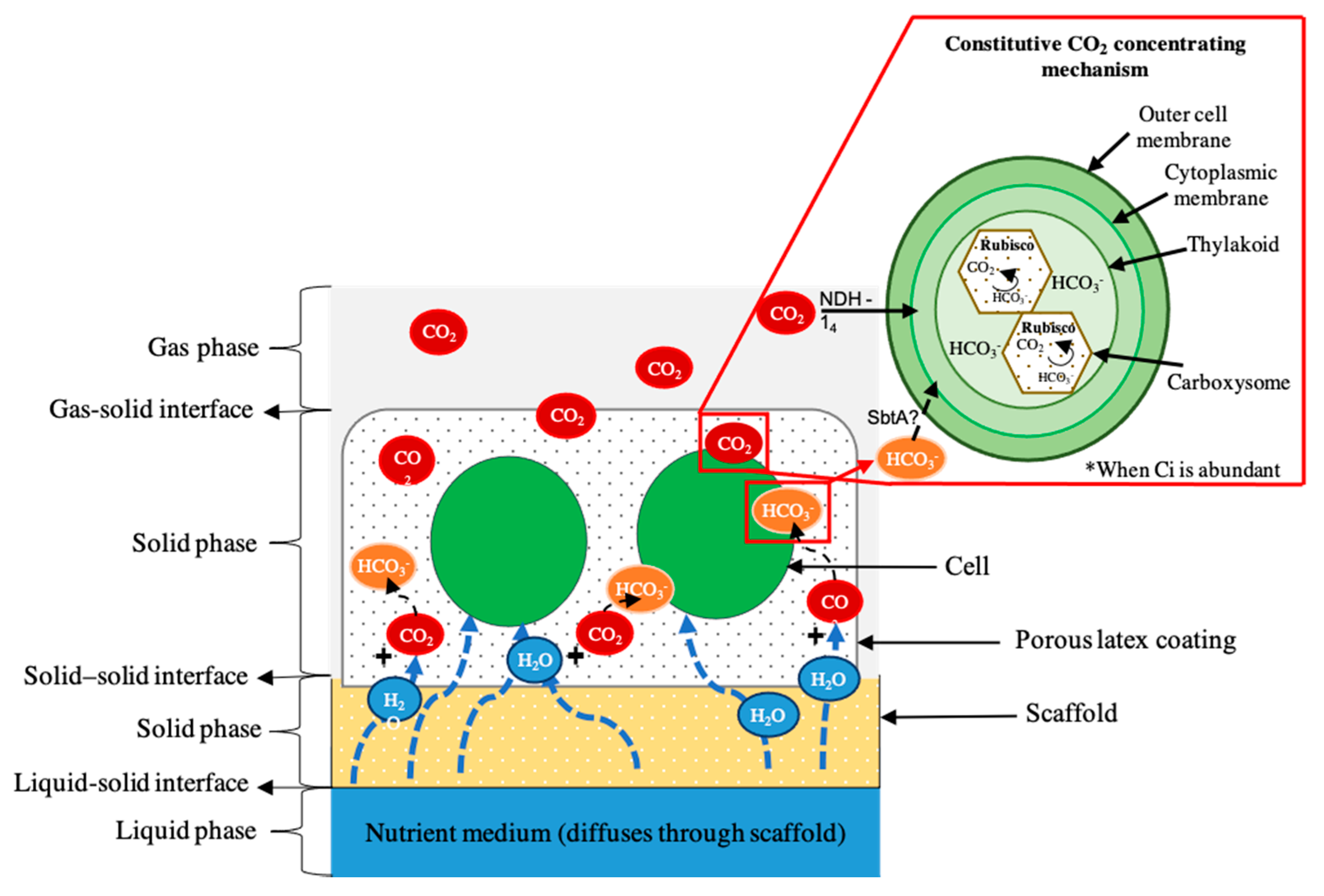 Energies 14 02566 g007 Energies 14 02566 g007