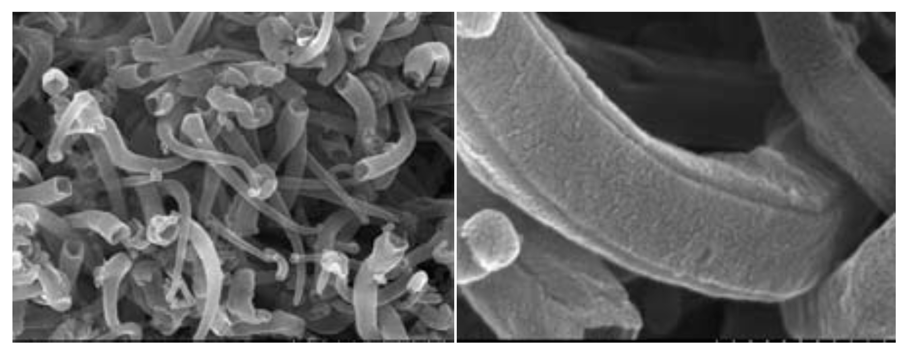 Energies 14 02649 g005