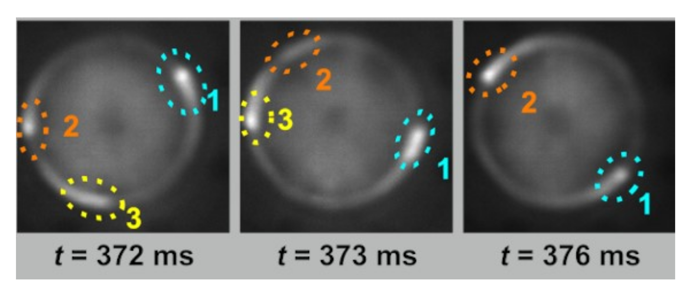 Energies 14 03387 g002