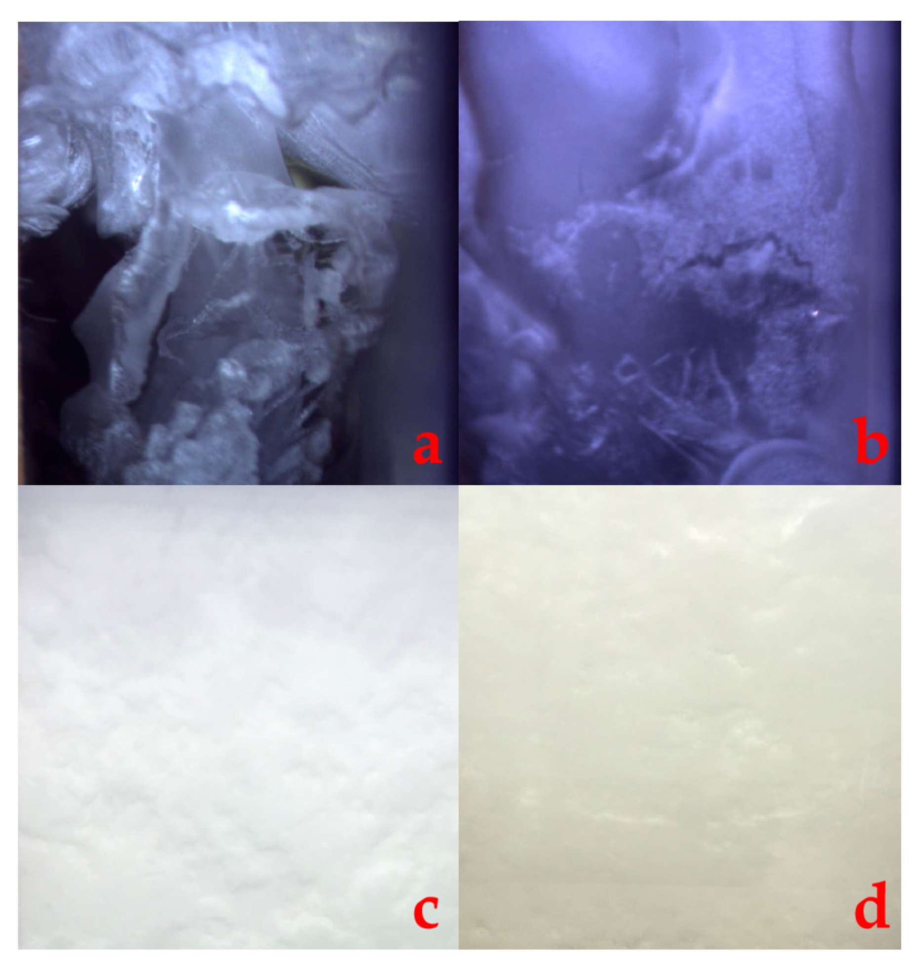 Energies 14 03909 g003