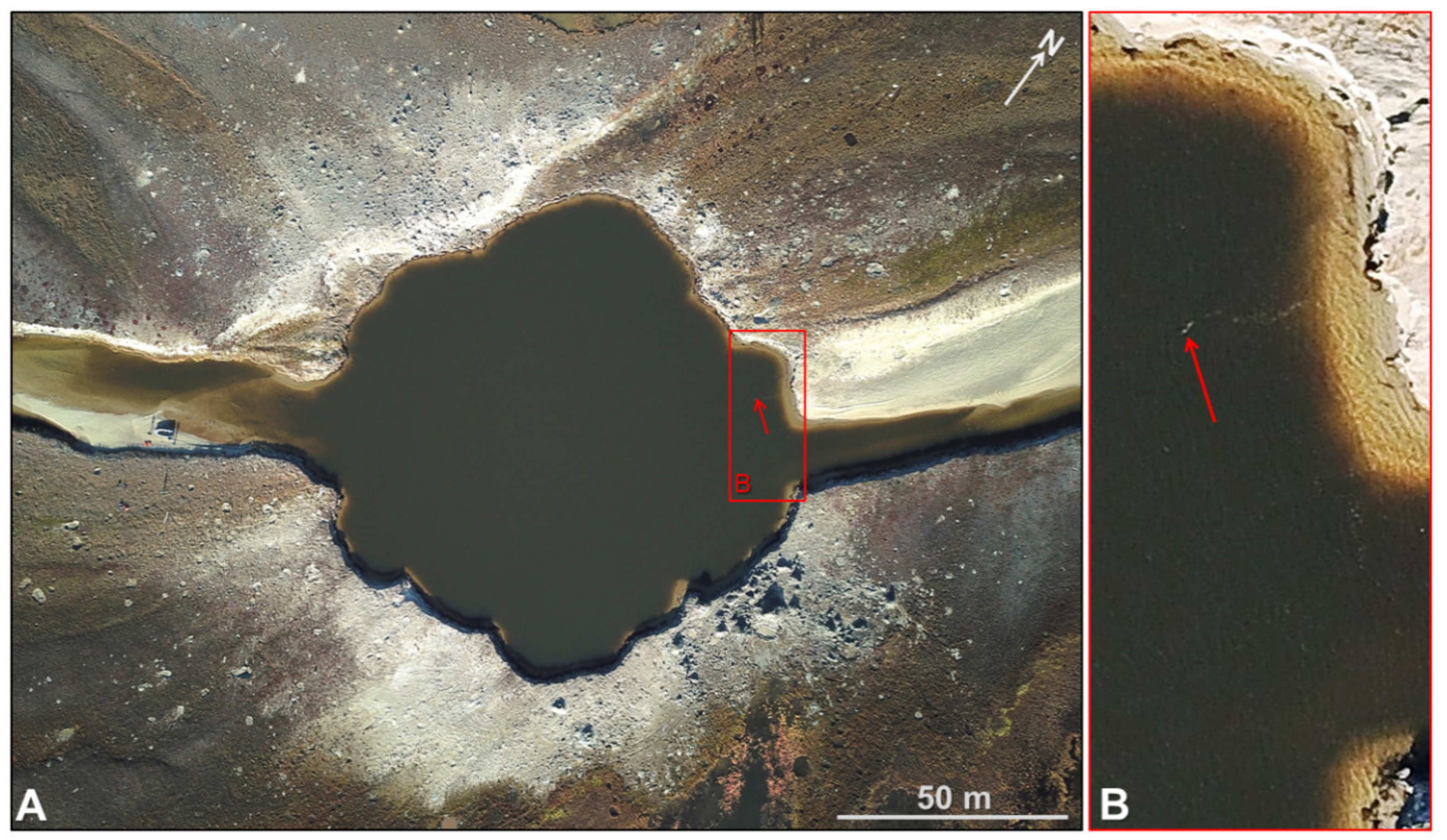 Energies 14 05345 g008