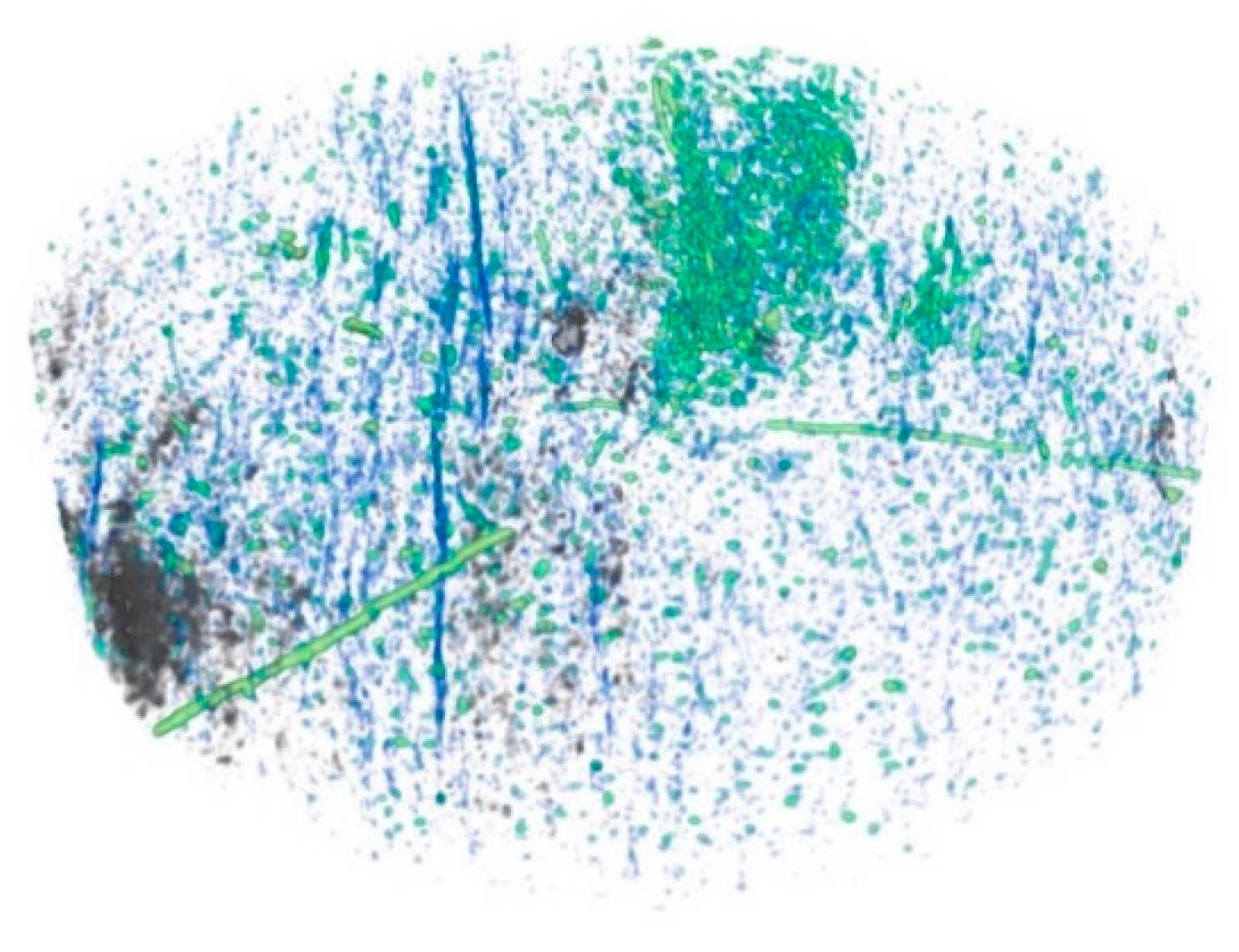 Energies 14 05360 g011