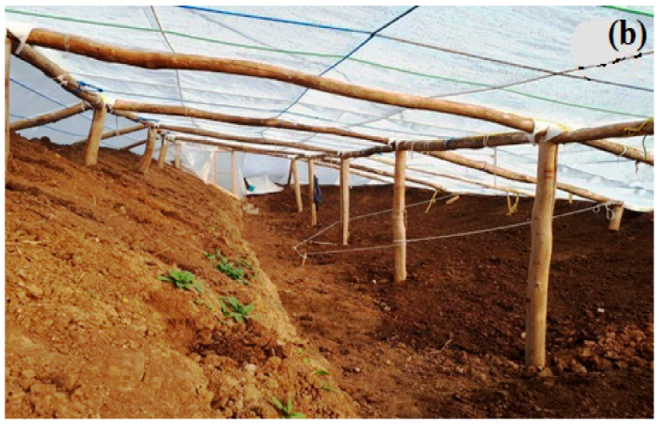 Energies 14 05369 g006b