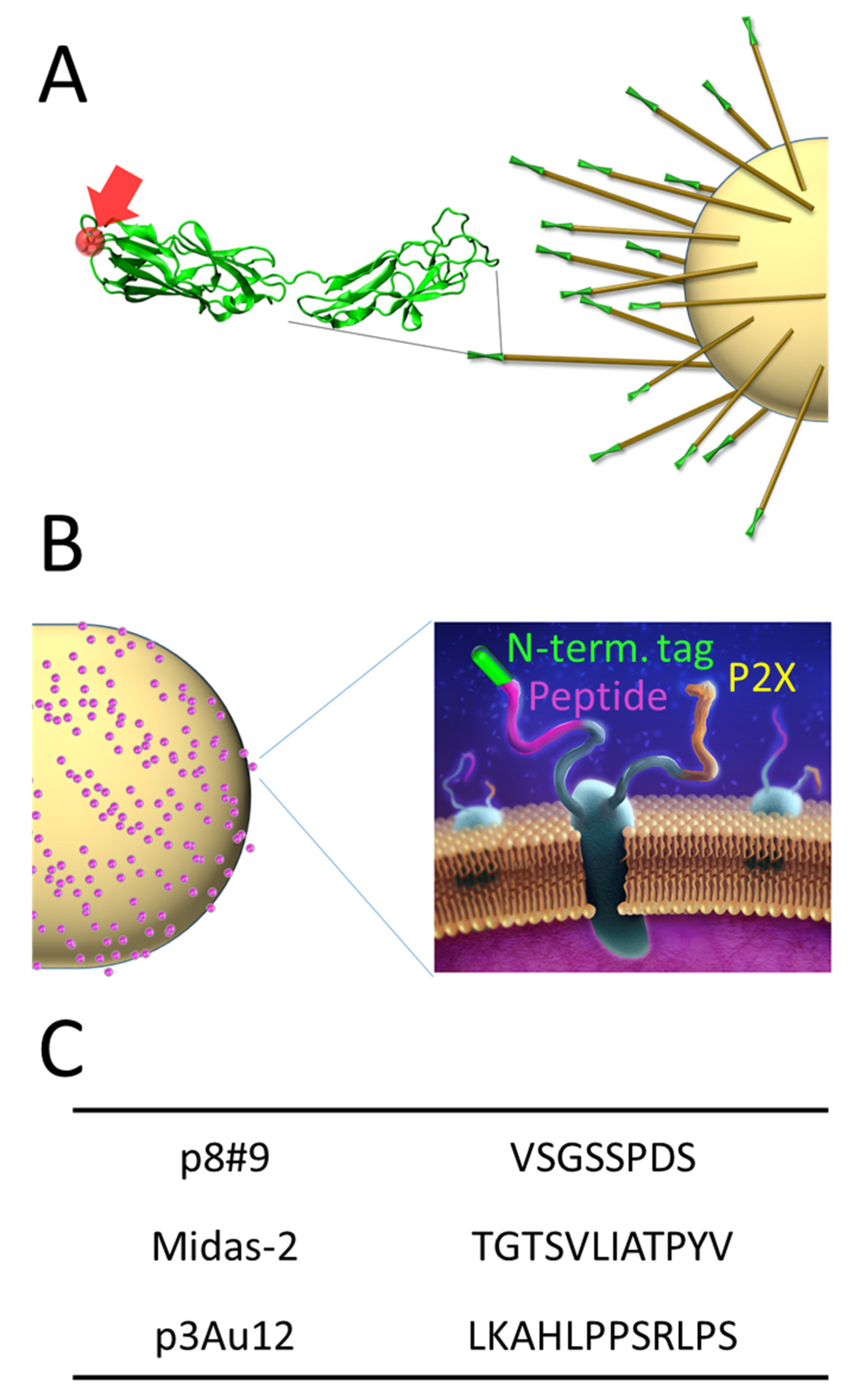 Energies 14 05389 g001
