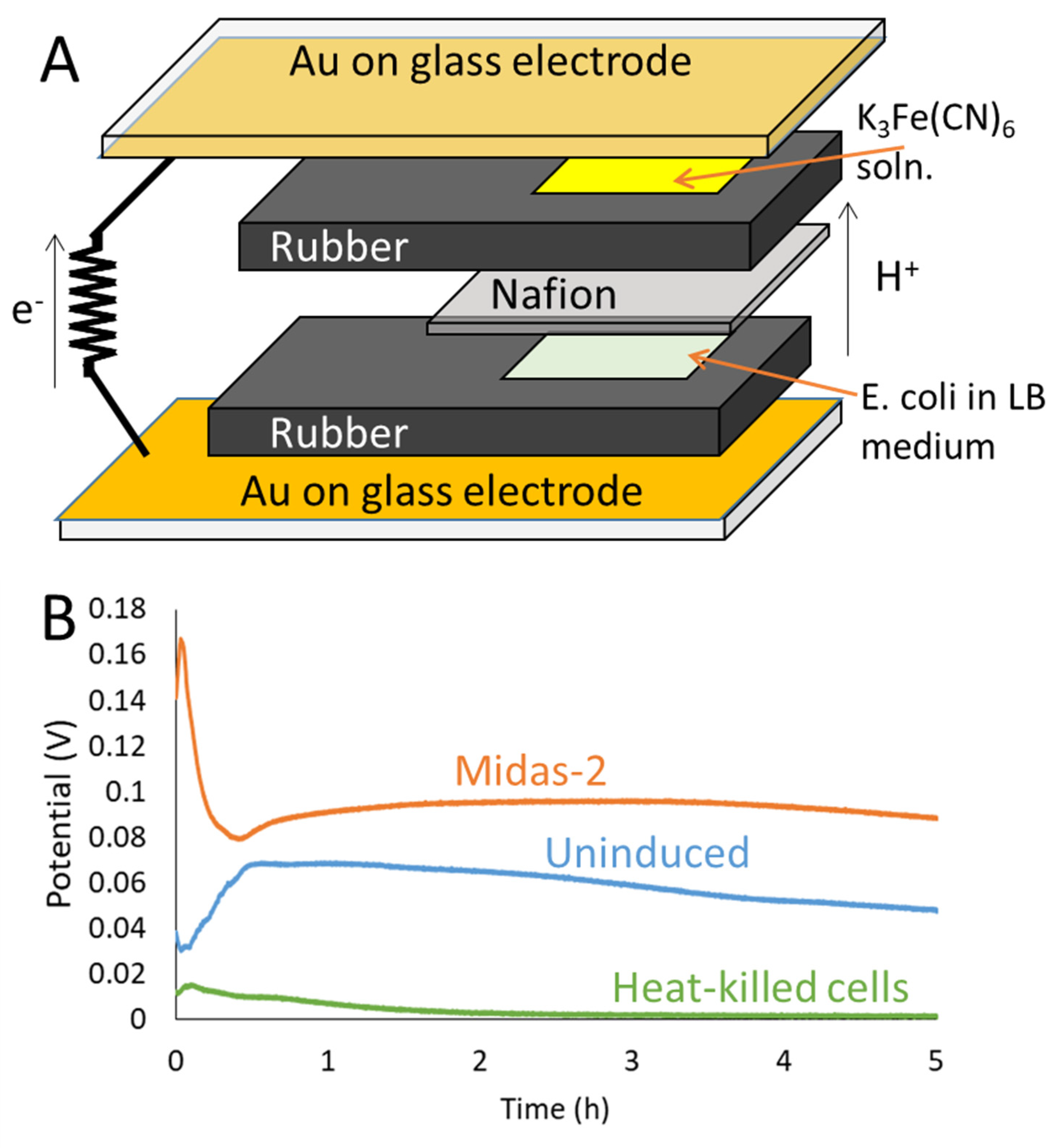 Energies 14 05389 g002