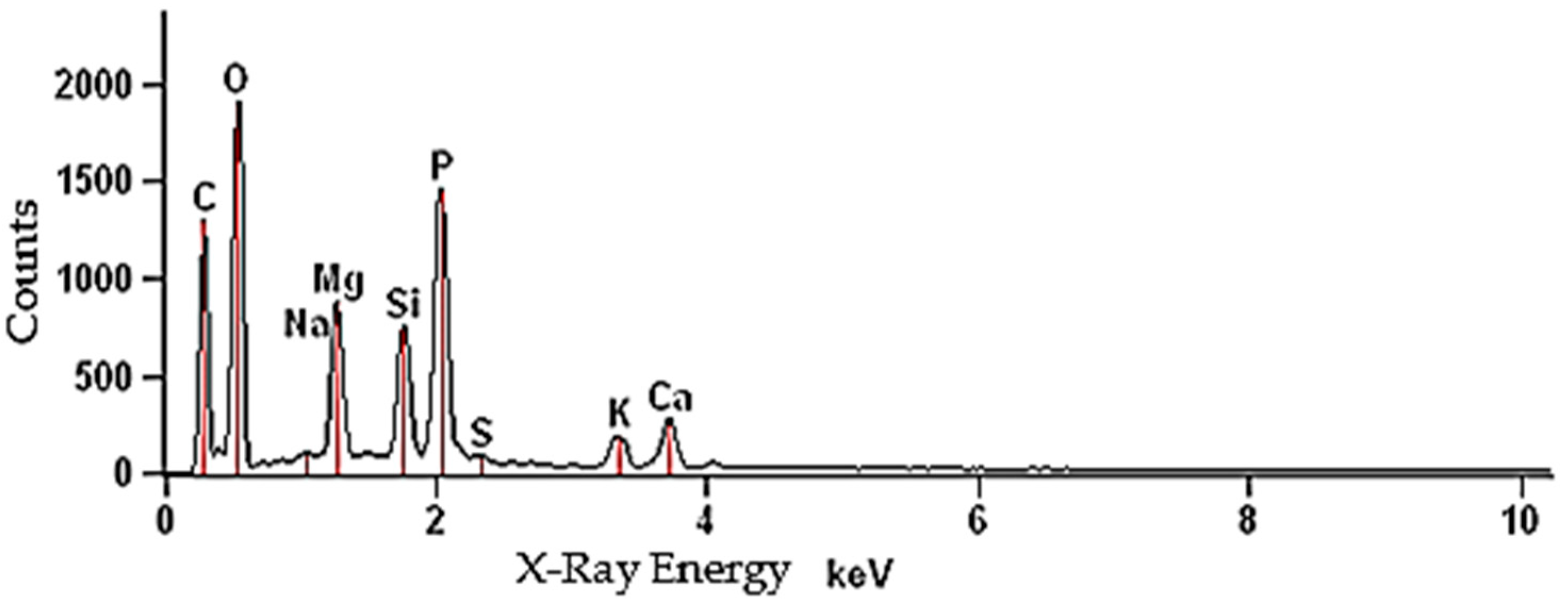 Energies 14 05543 g003