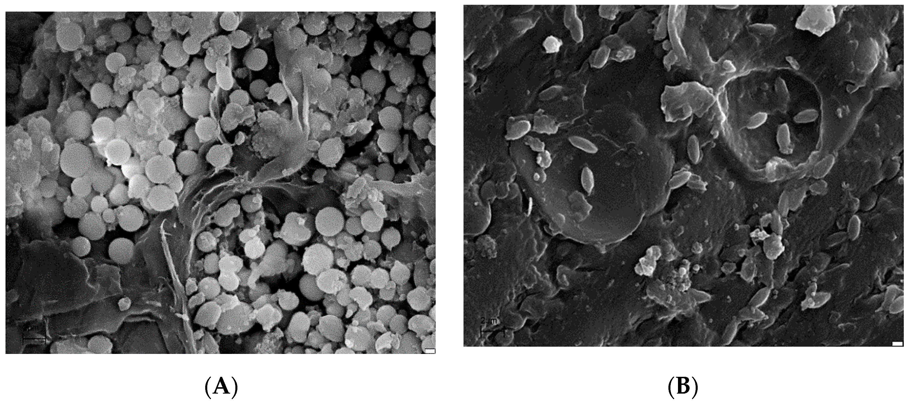 Energies 14 05543 g009