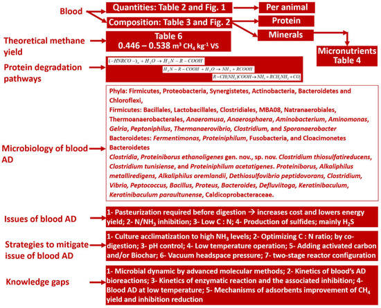 Conservation Tip 03: Removing blood from paper documents