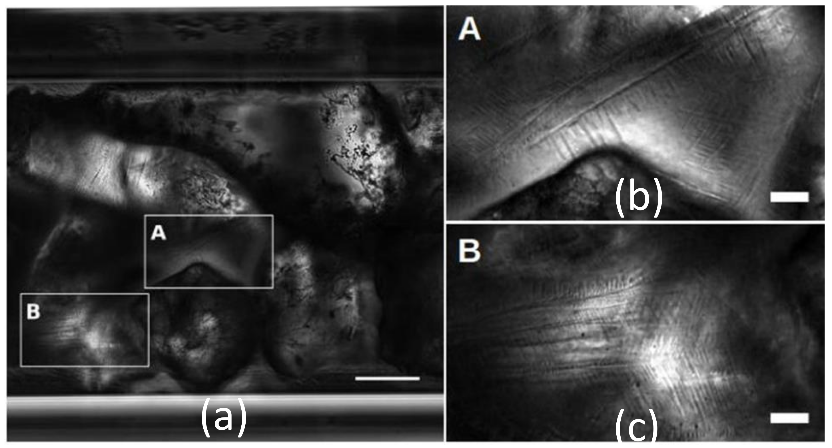 Energies 14 05672 g012