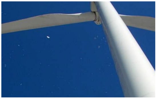 How Do Wind Turbines Survive Severe Storms?