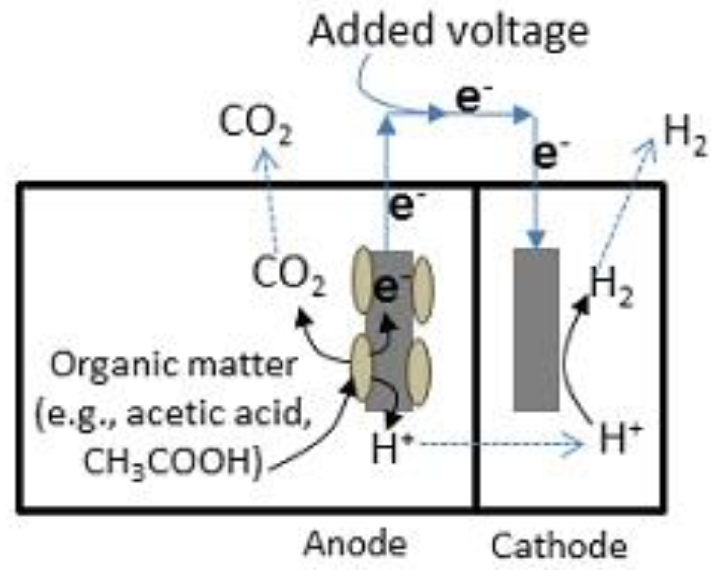 Energies 14 06209 g002