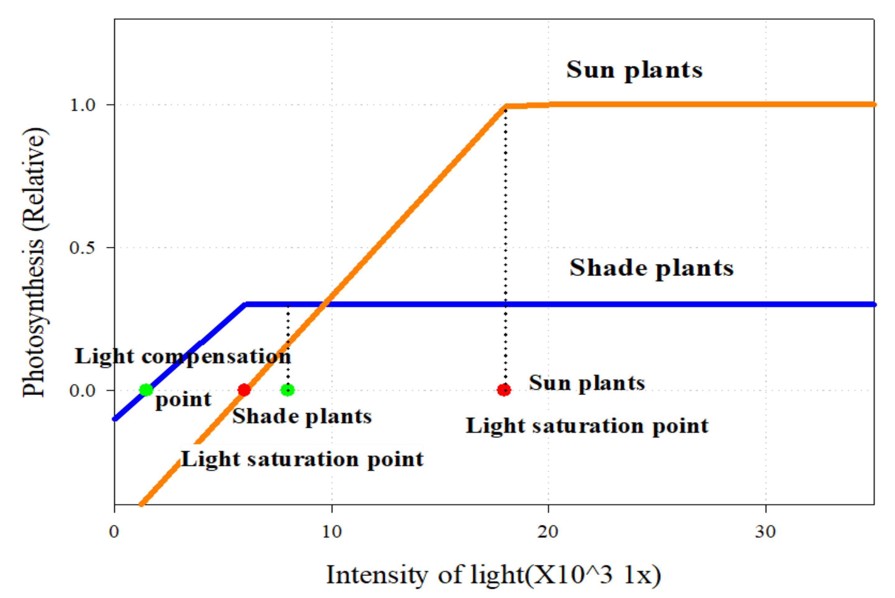 Energies | Free Full-Text | Simulation Analysis of Daylight Characteristics  and Cooling Load Based on Performance Test of Covering Materials Used in  Smart Farms