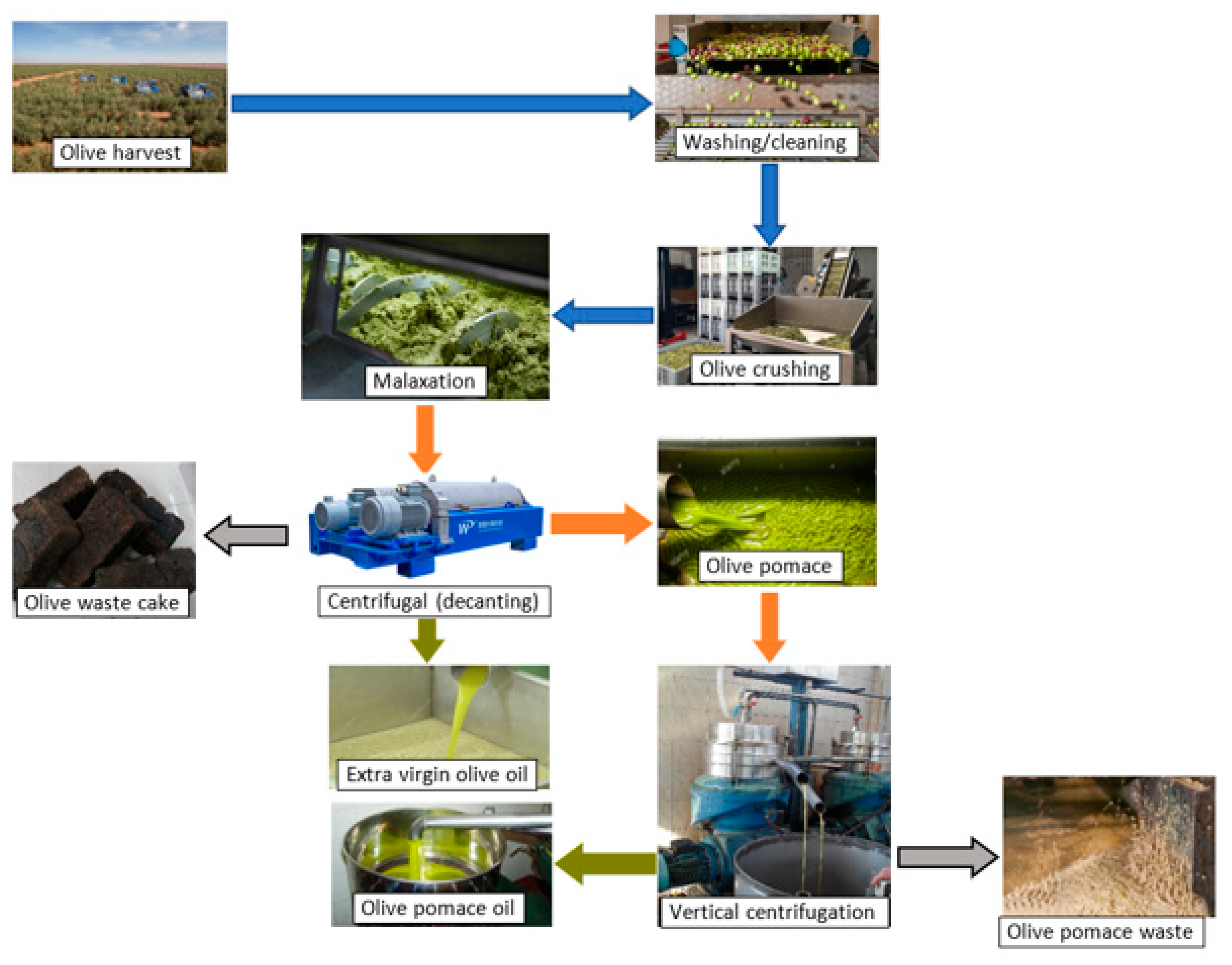 Energies | Free Full-Text | Estimation of Sustainable Bioenergy Production  from Olive Mill Solid Waste