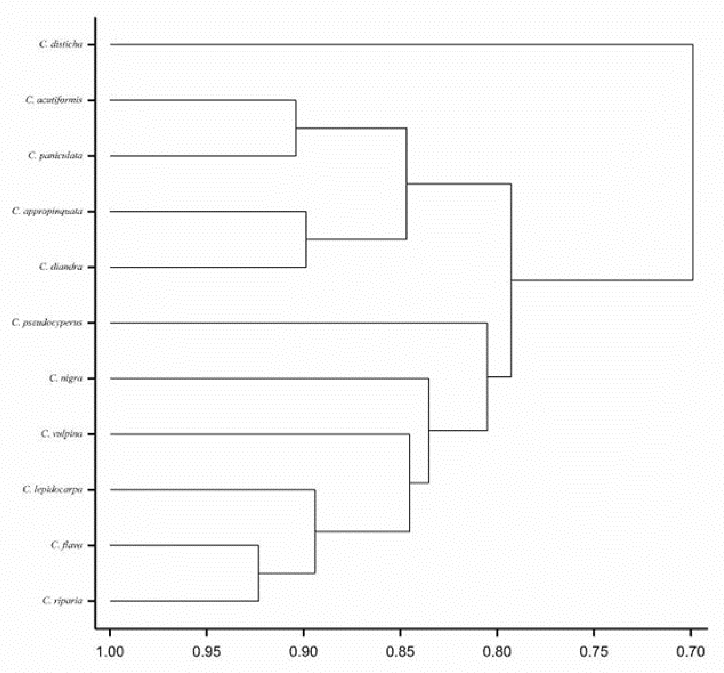 Energies 14 08007 g001