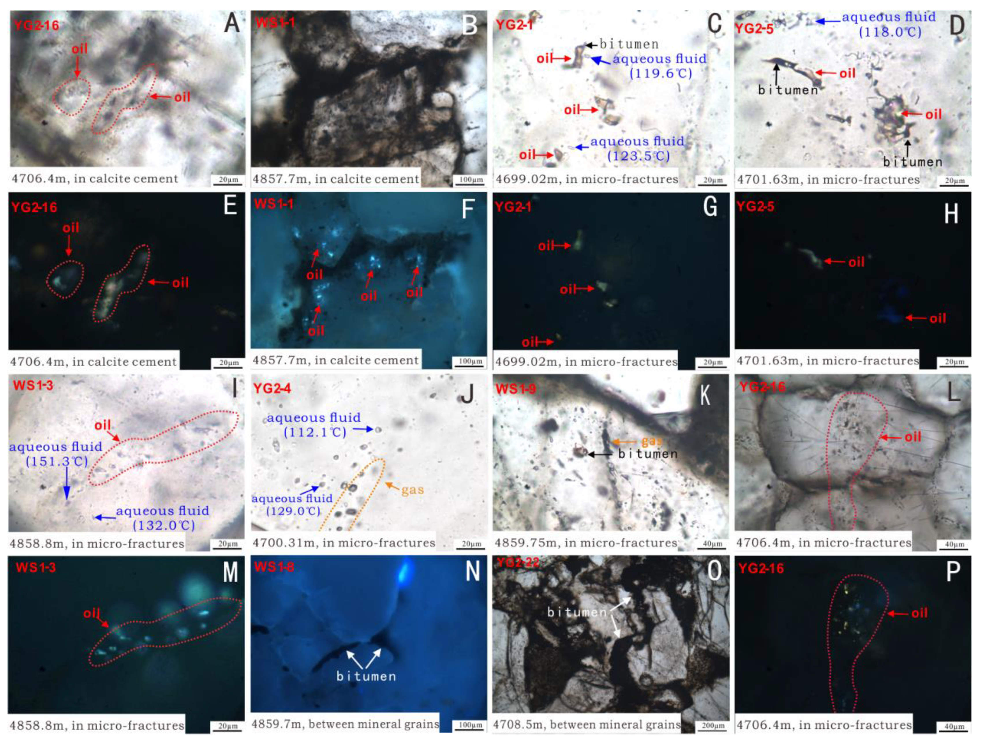 Energies 14 08109 g003