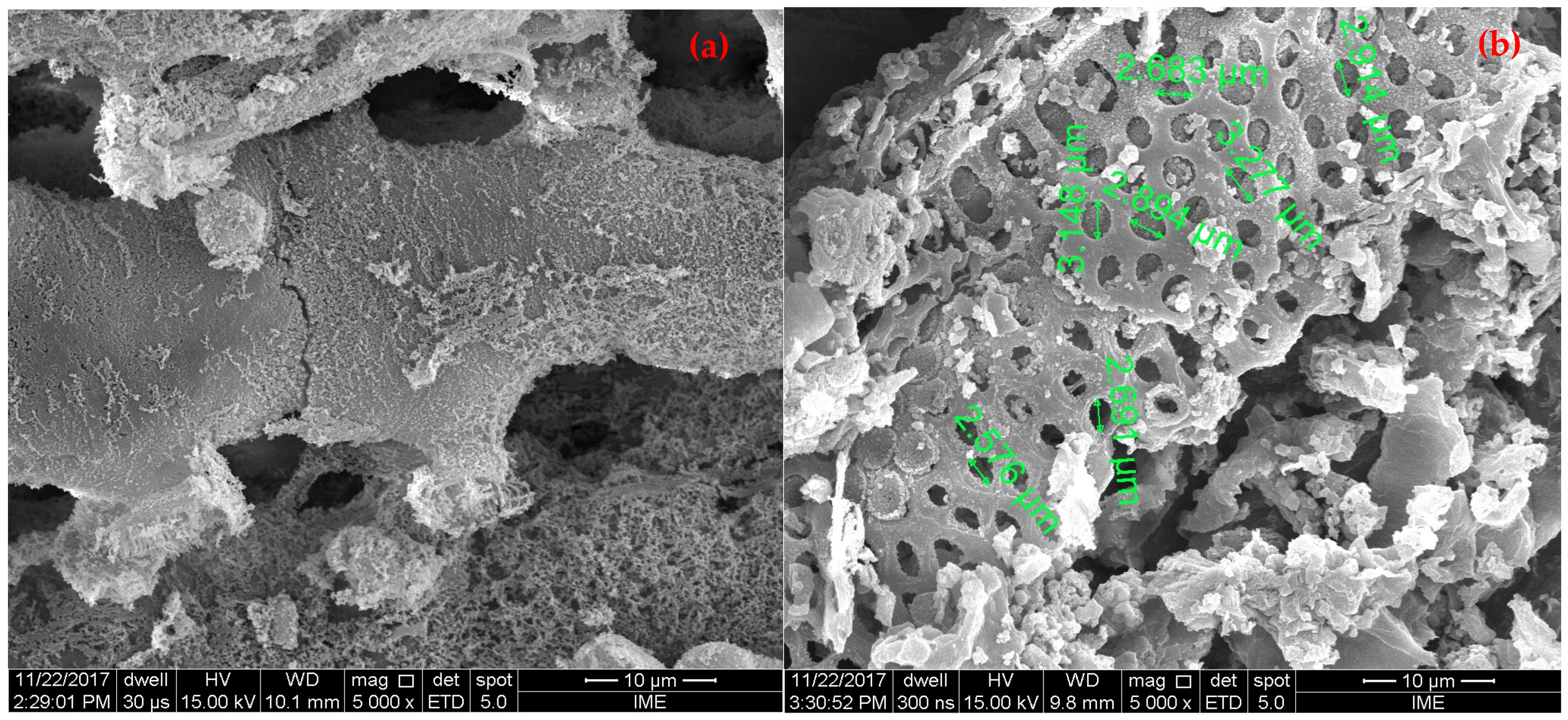 Energies 14 08154 g005