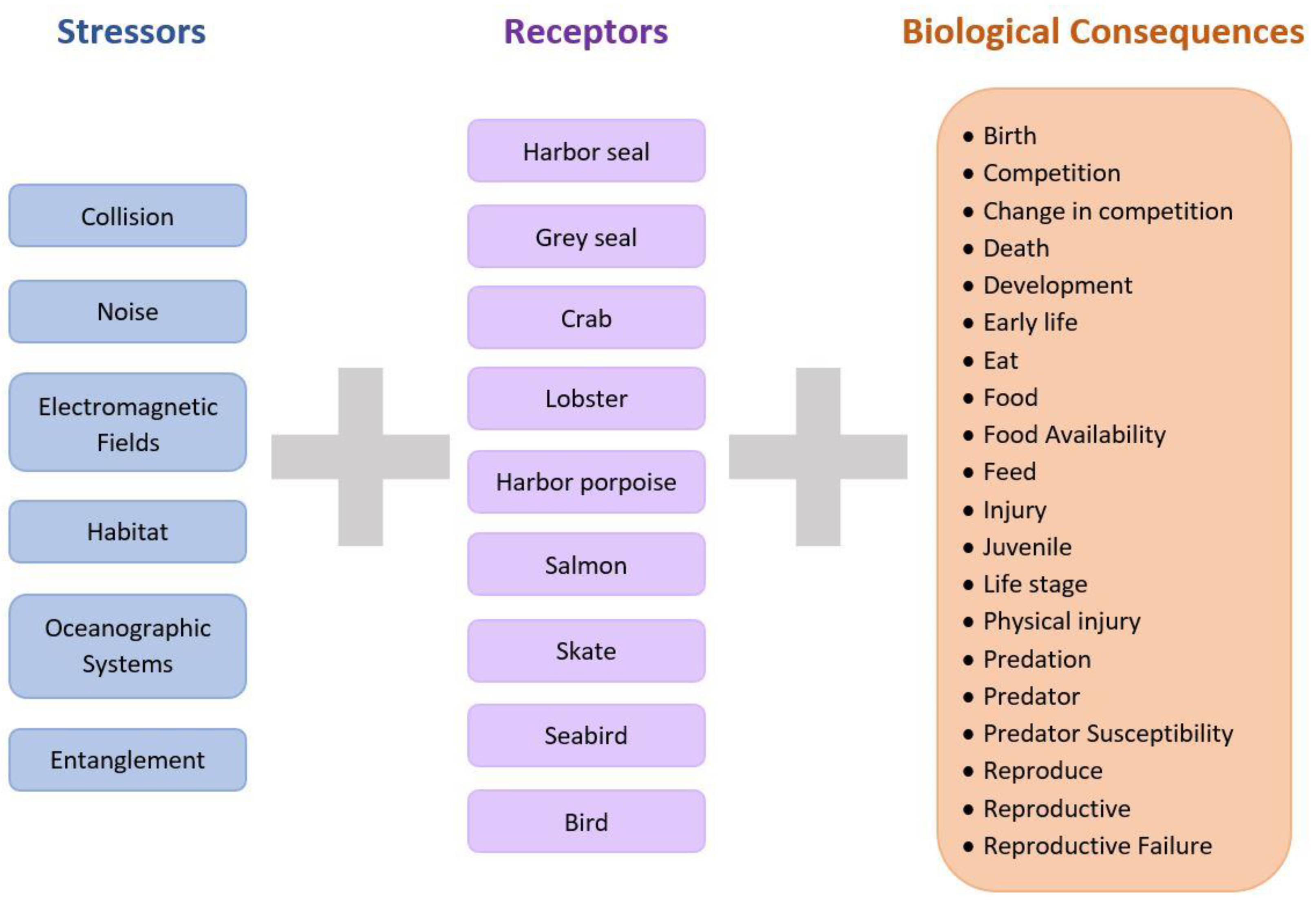 Energies | Free Full-Text | Biological Consequences of Marine Energy ...