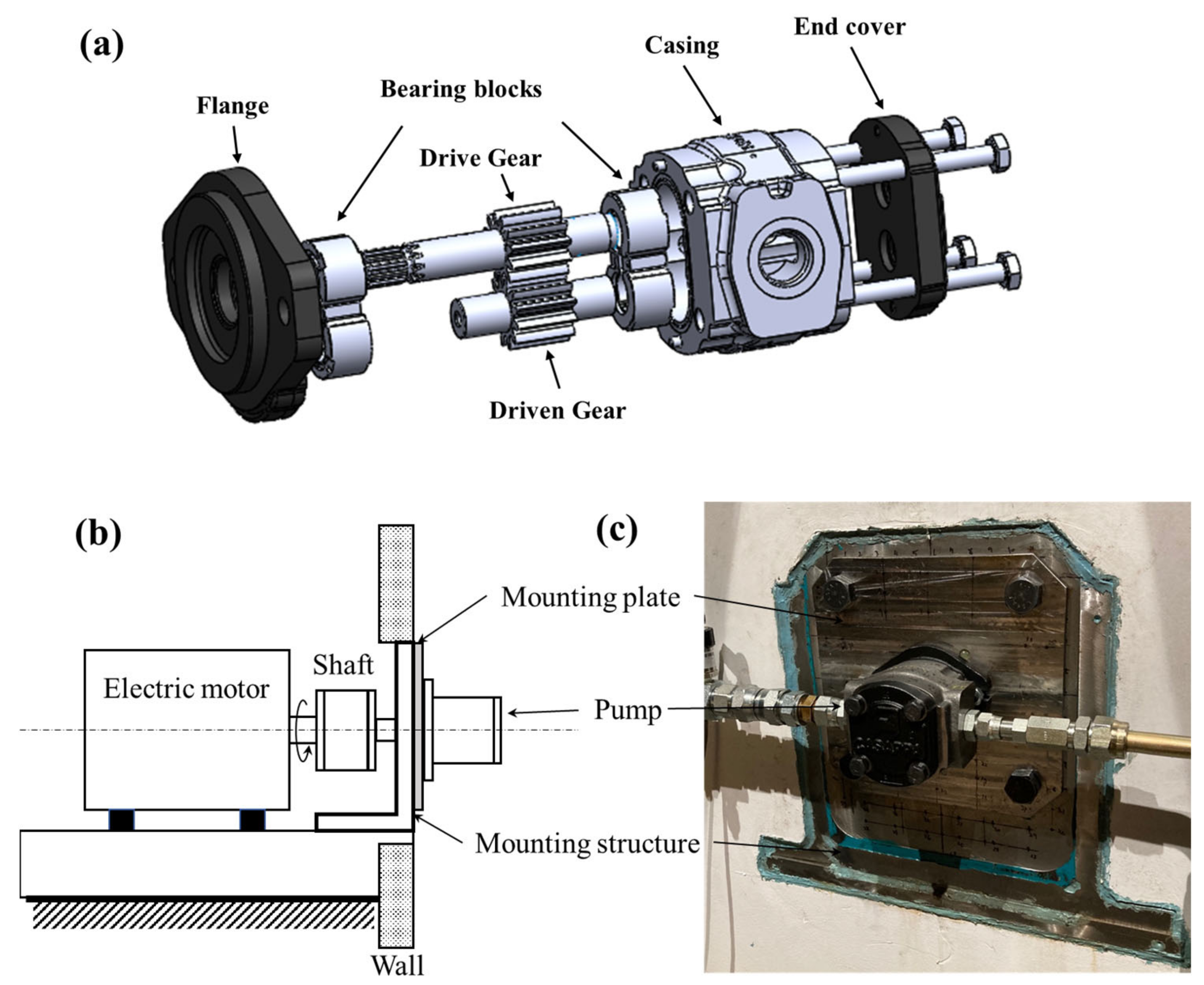 Energies | Free Full-Text | An Investigation of the Vibration Modes of an External  Gear Pump through Experiments and Numerical Modeling