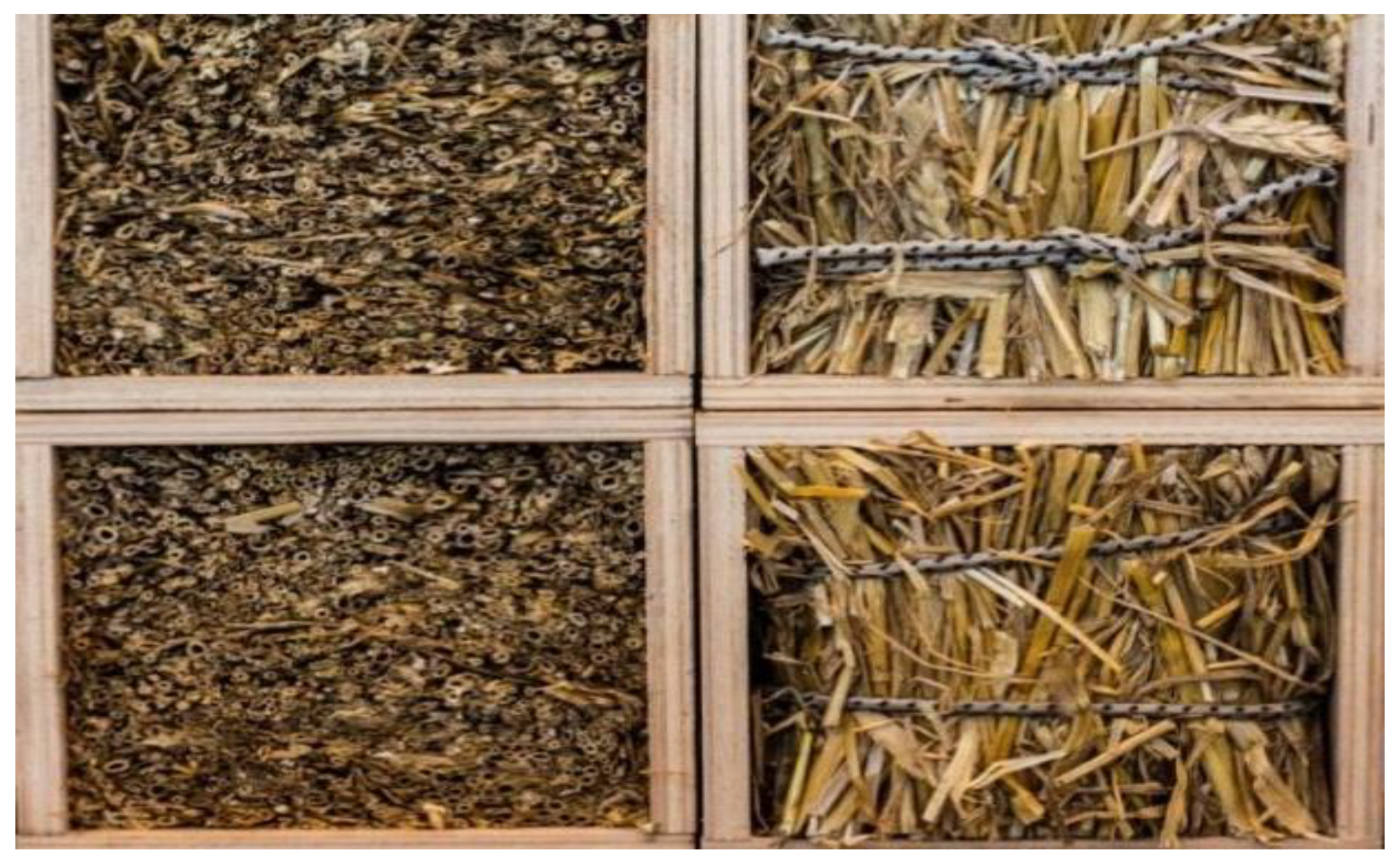 Energies 15 01155 g002 Energies 15 01155 g002