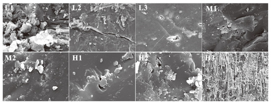 An Nmr-based Method For Multiphase Methane Characterization In Coals