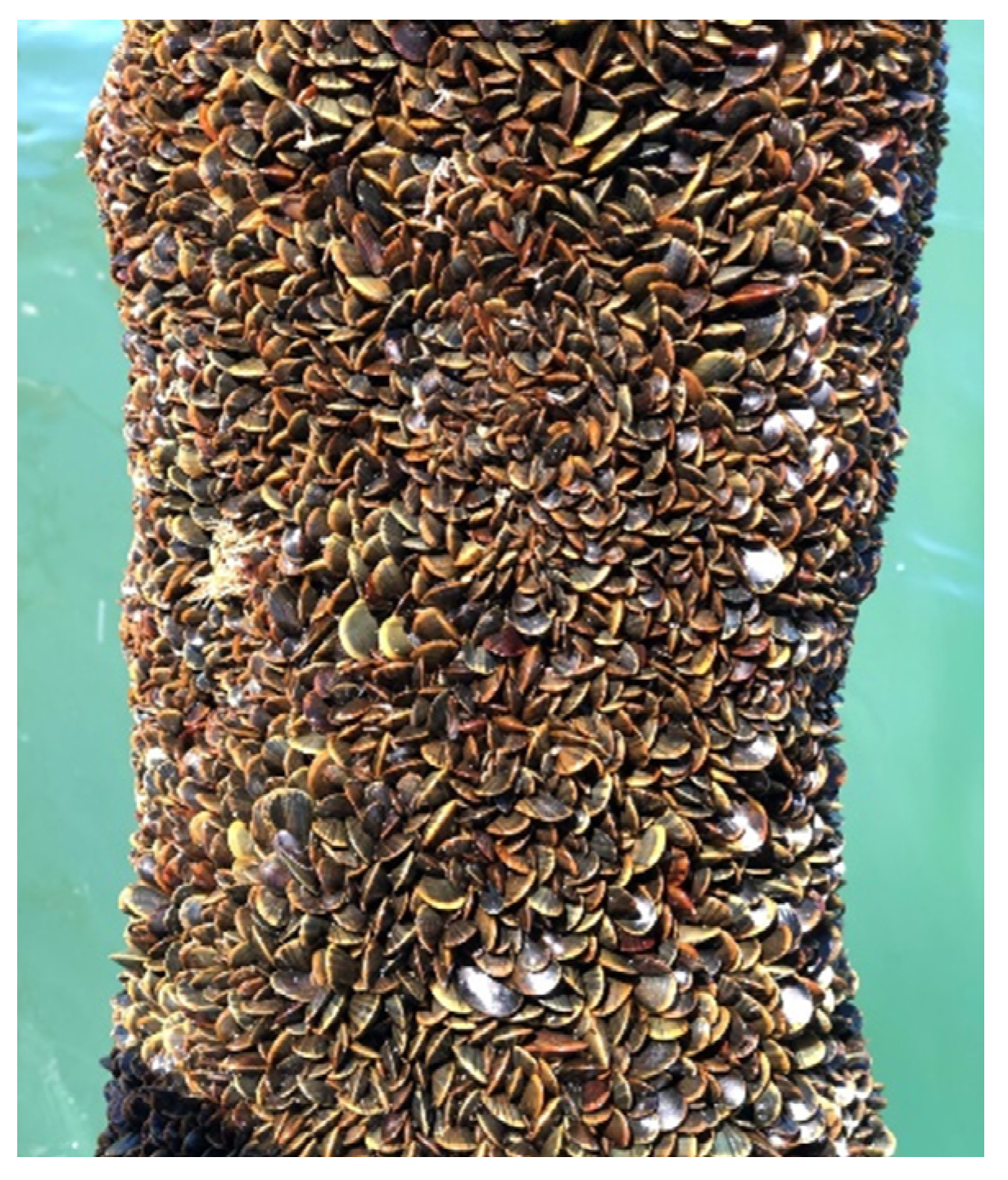 Energies 15 03087 g002