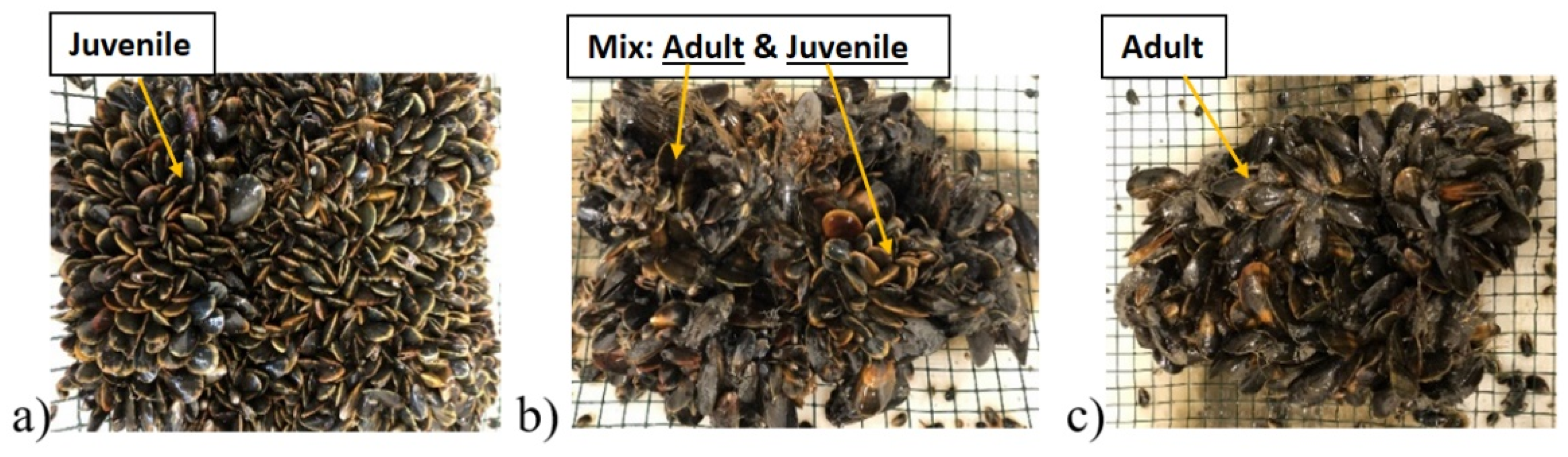 Energies 15 03087 g005