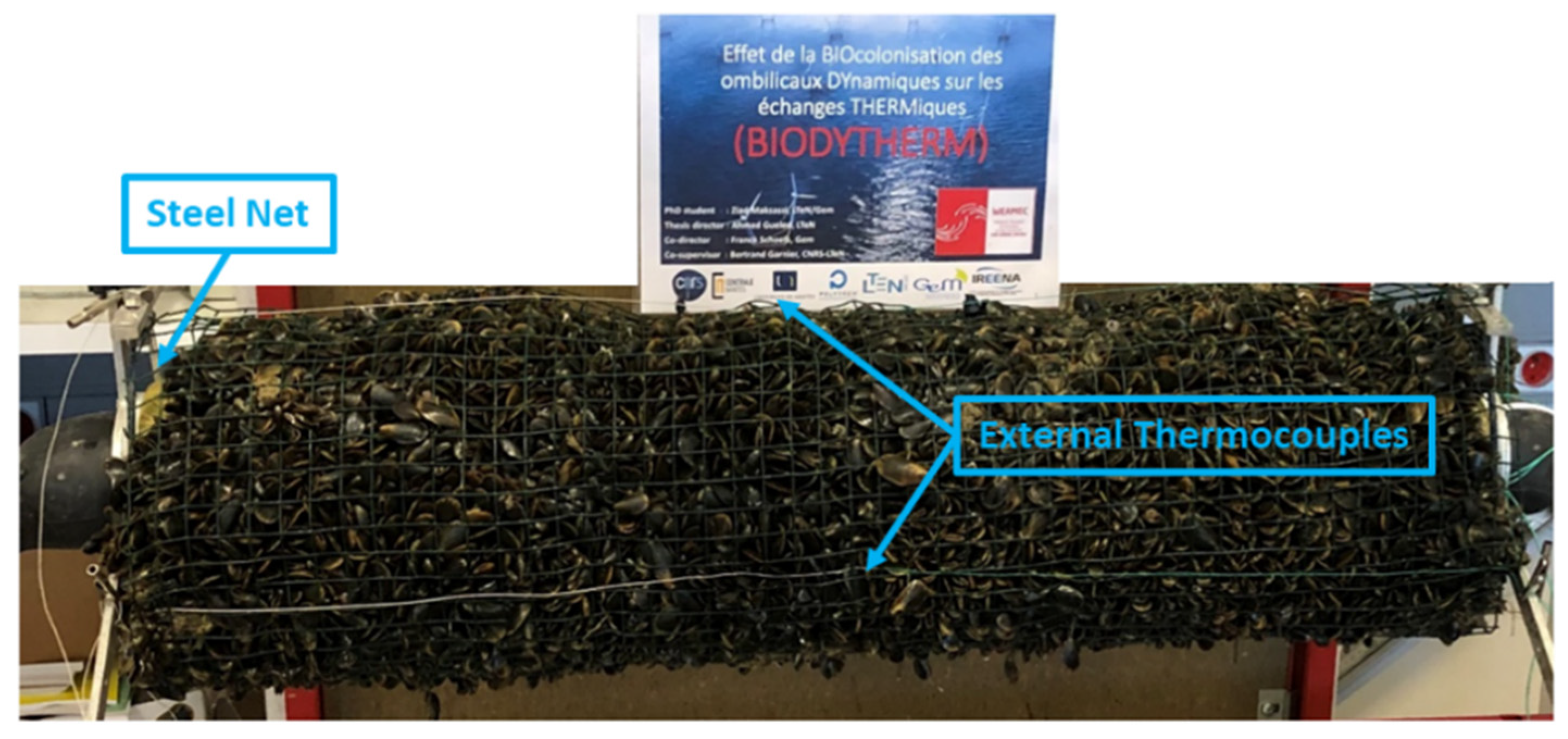 Energies 15 03087 g006