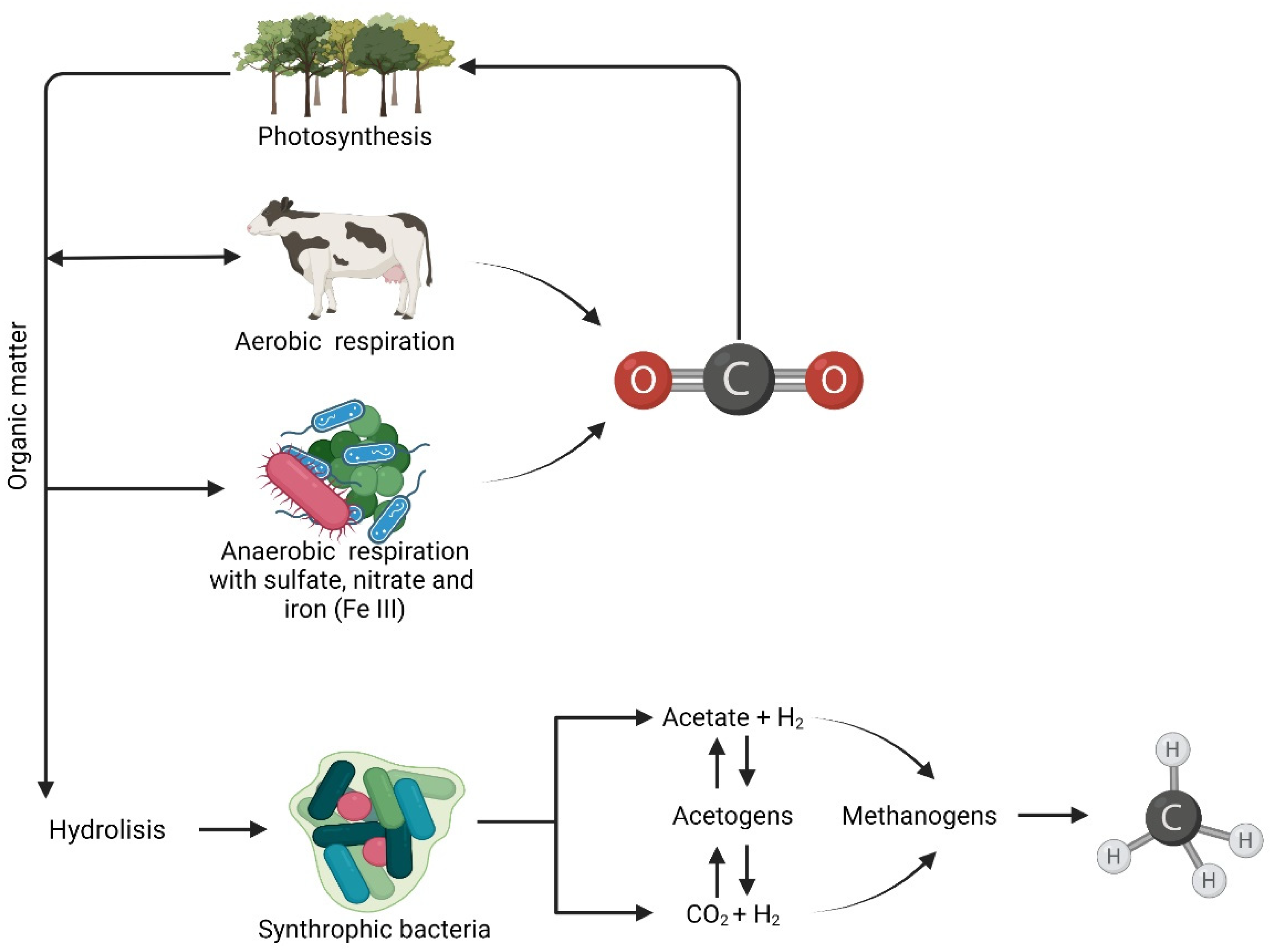 Energies 15 04064 g002