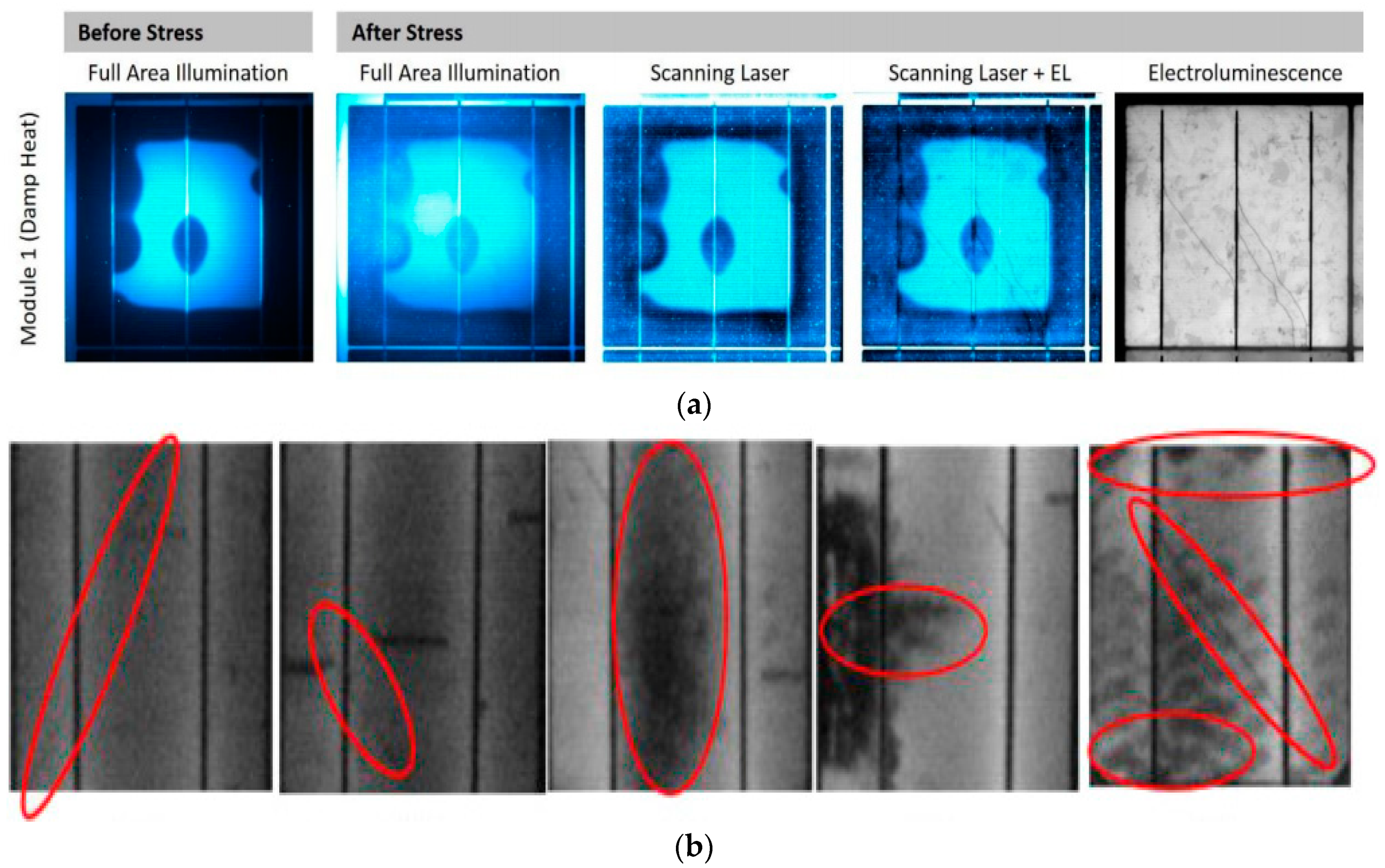 Energies 15 04303 g005