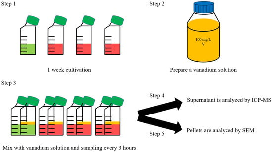 Energies | Free Full-Text | Microalgae as an Effective Recovery