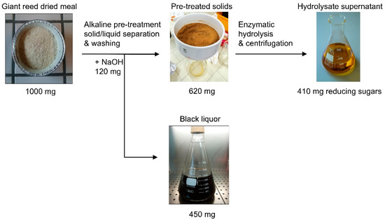 Energies | Free Full-Text | Hydrogen Production From Enzymatic.