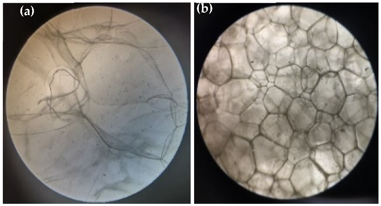 Energies 15 05207 g003