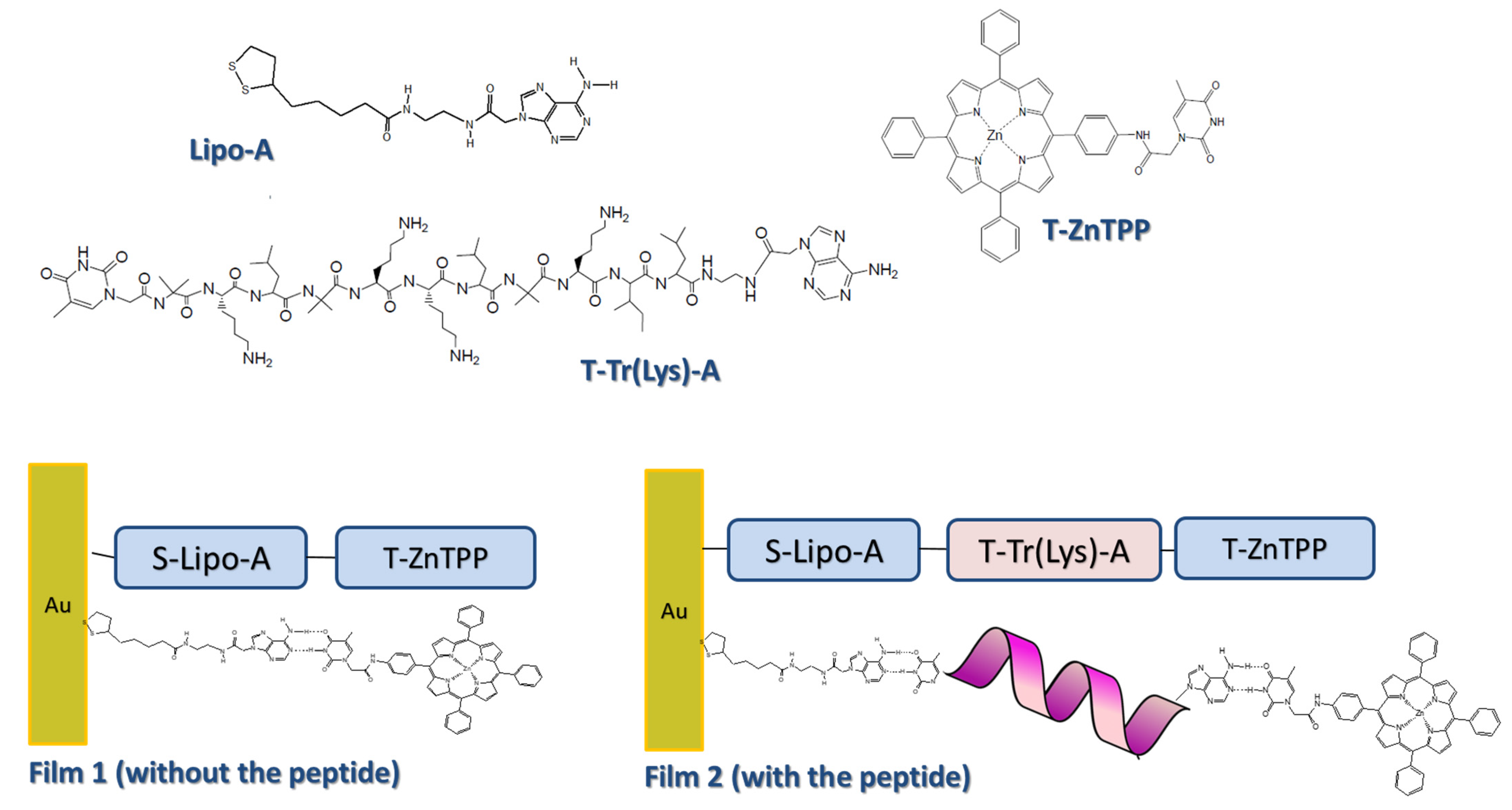 Energies 15 05632 g003