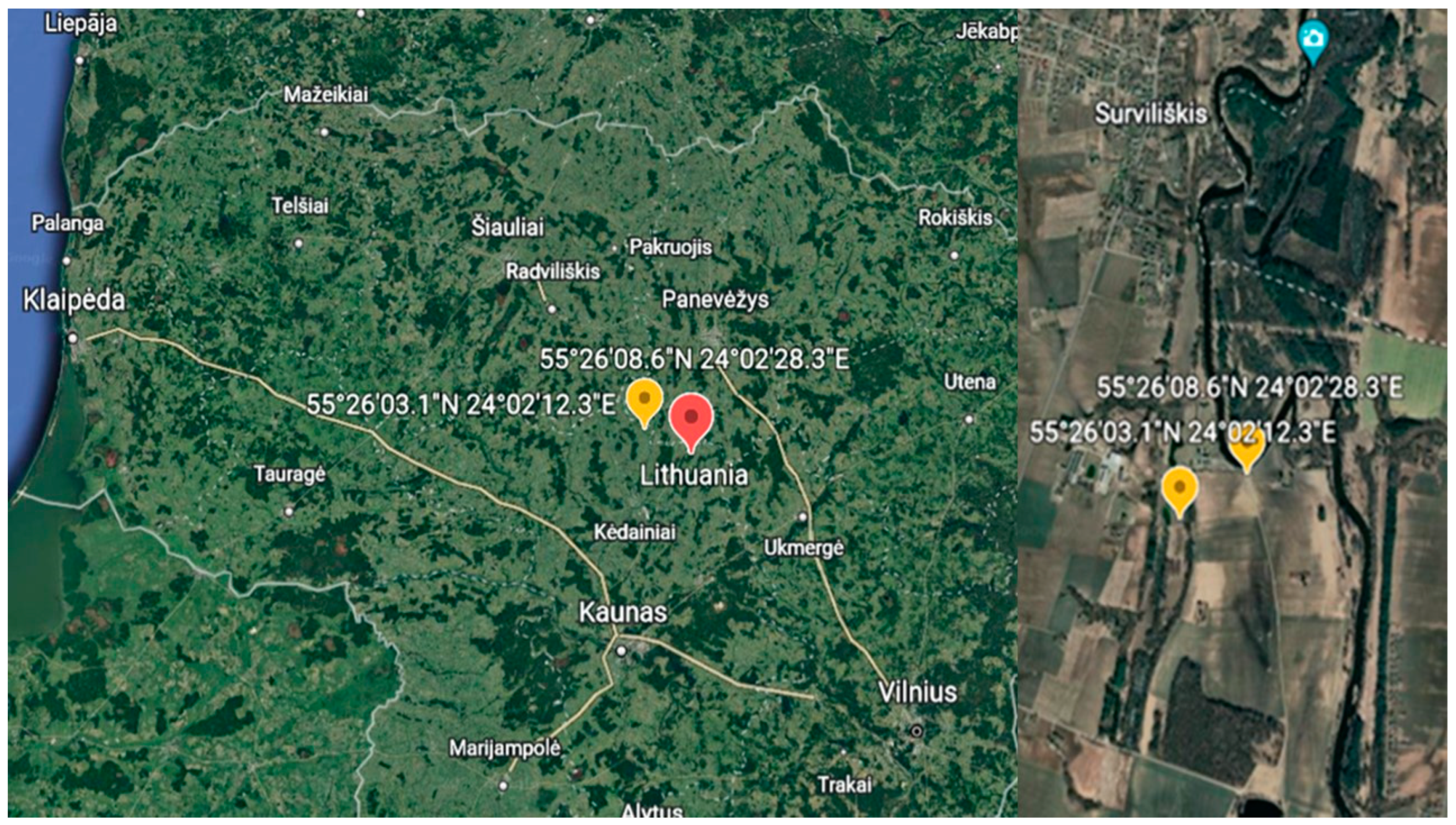 Energies 15 05876 g001