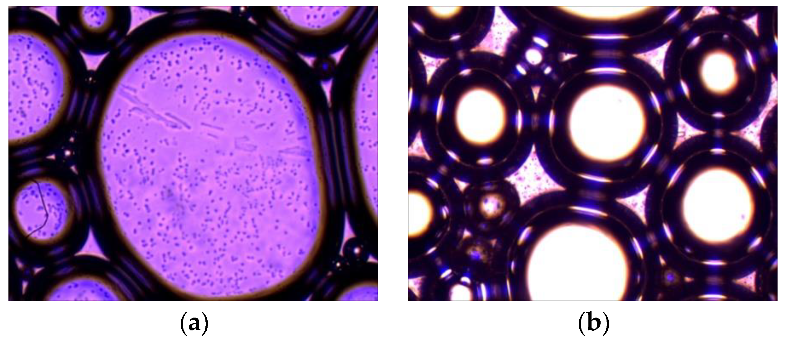 Energies 15 06203 g004