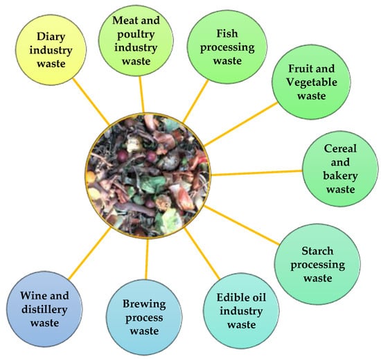 Food life-cycle phases starting from food waste.