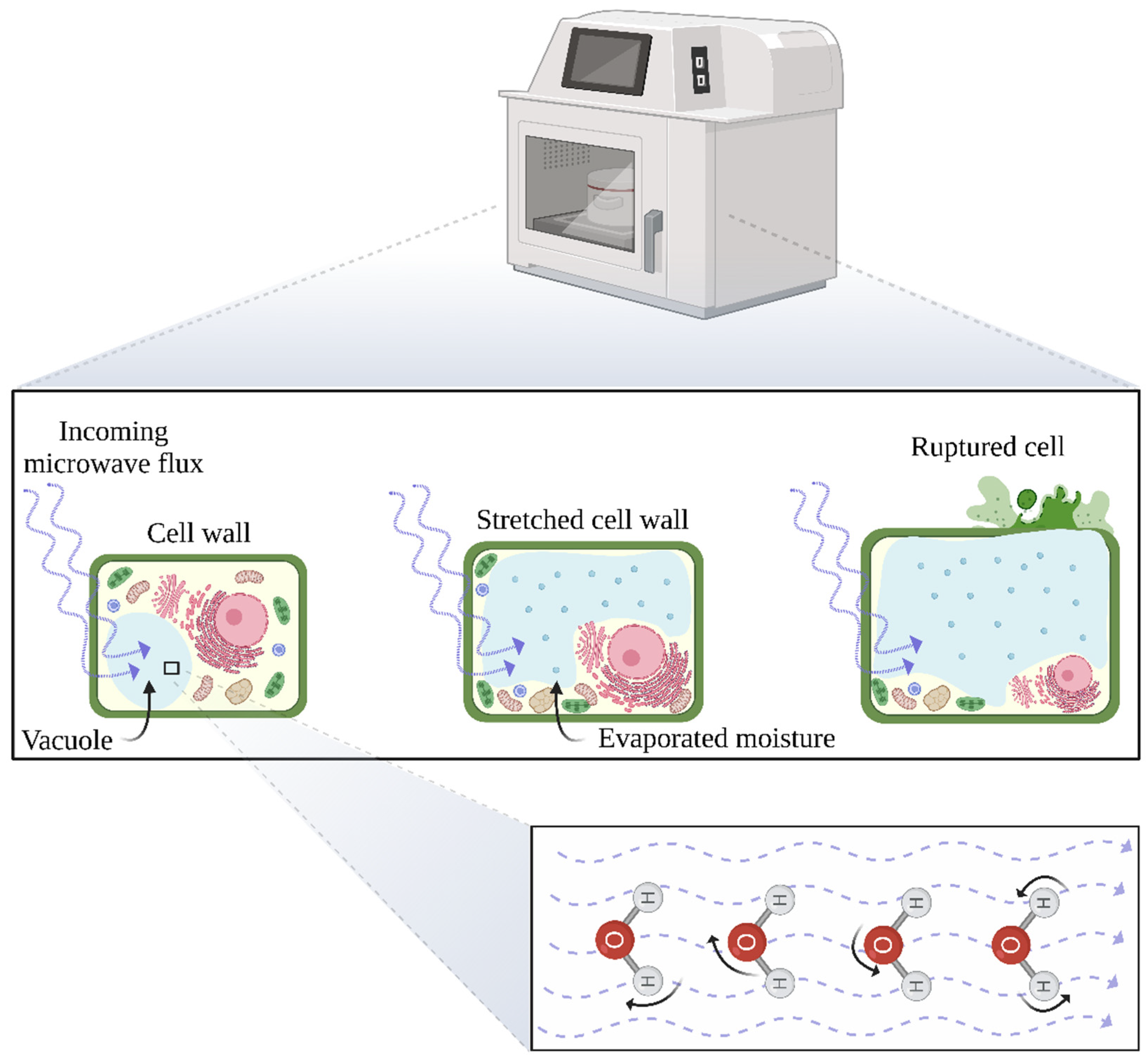 Energies 15 06536 g006