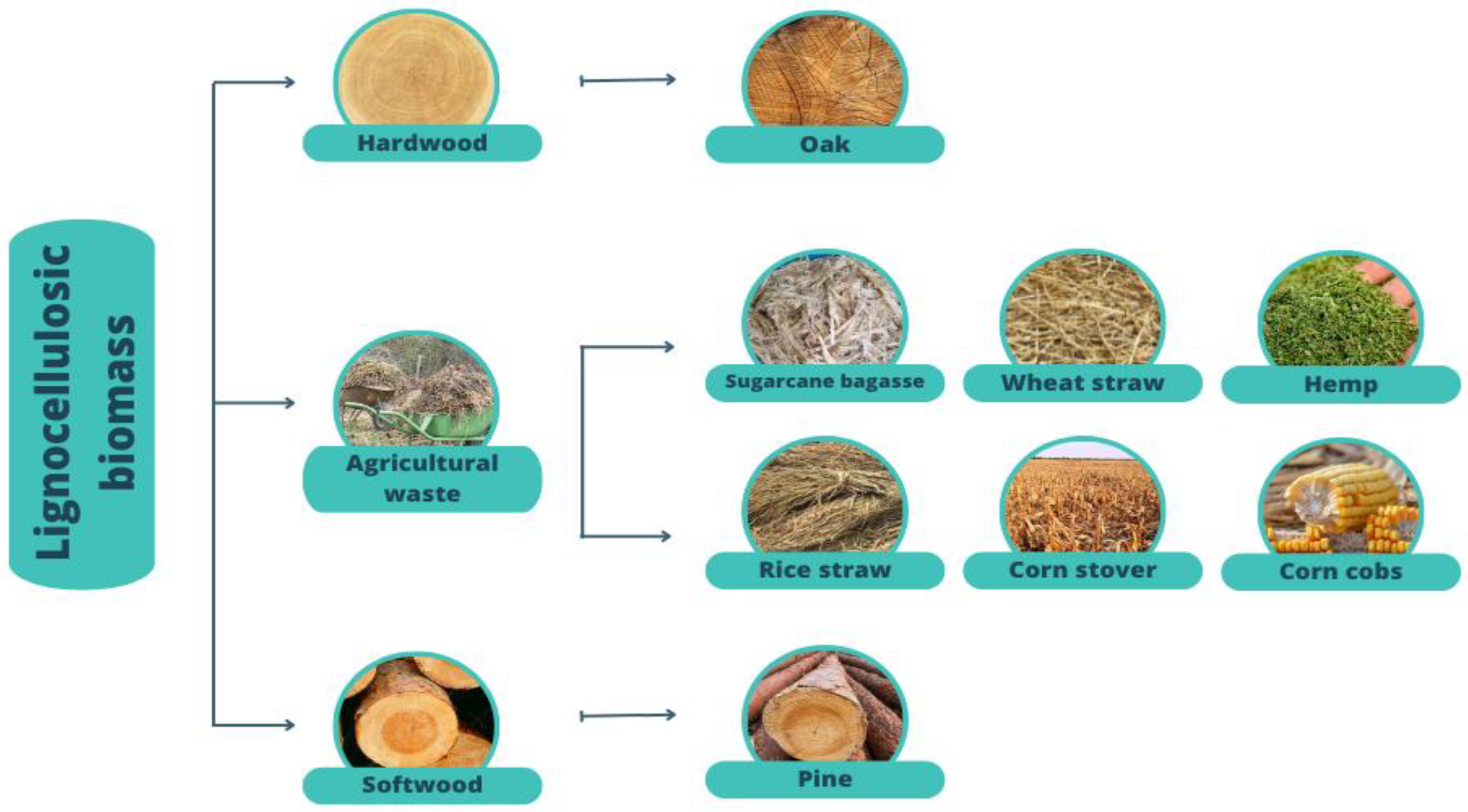 Energies 15 06912 g003