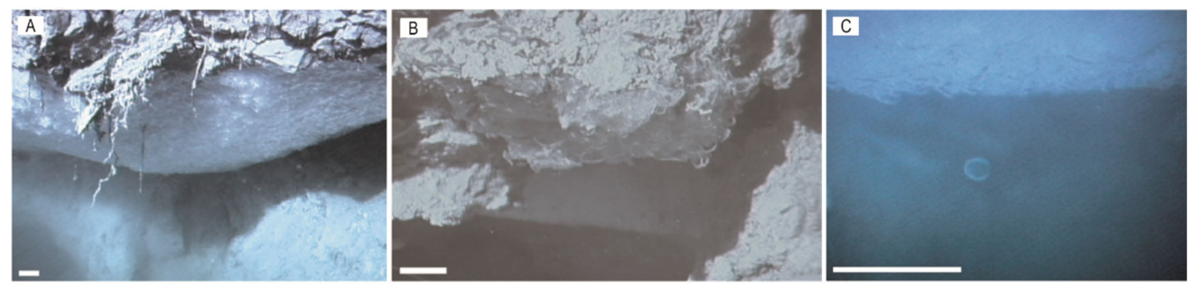 Energies 15 06921 g018