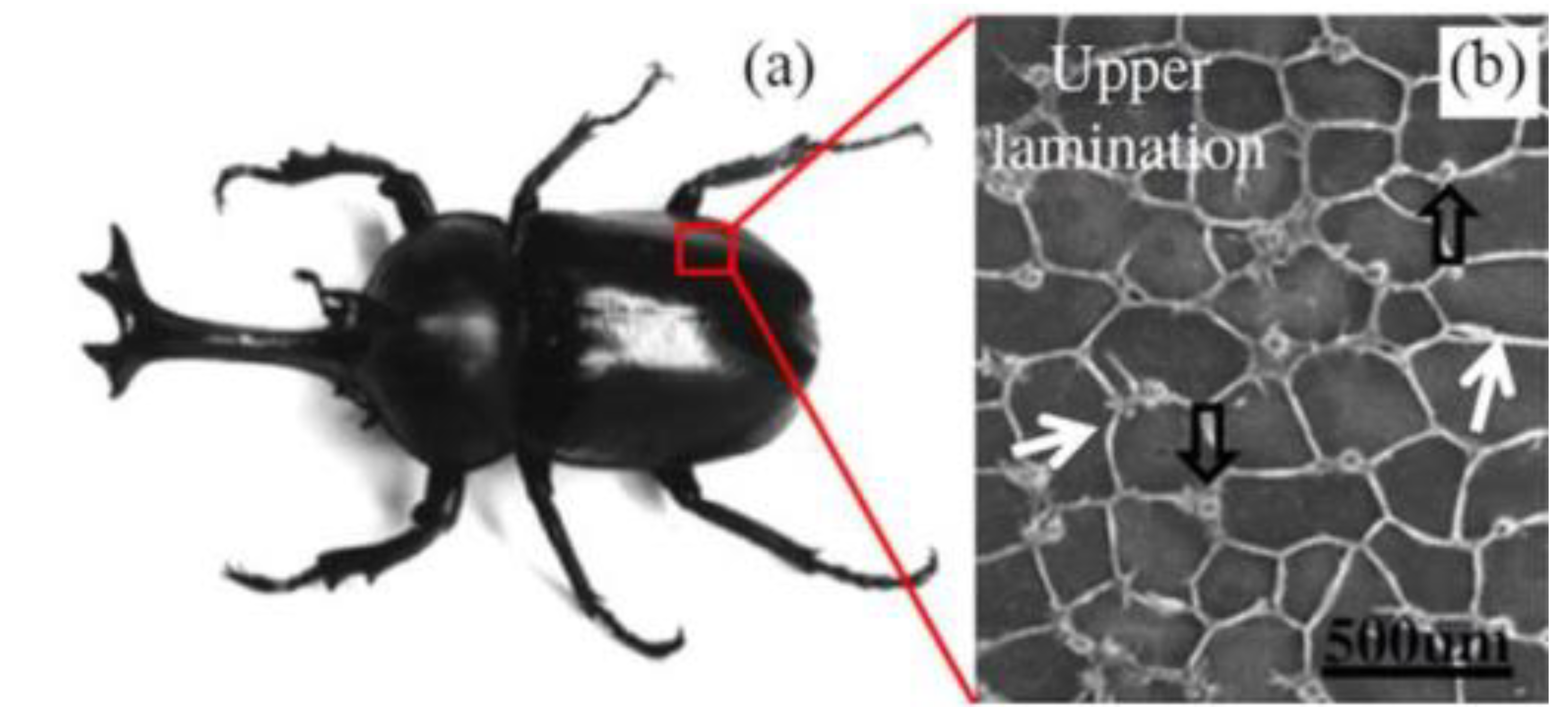Energies 15 06957 g001