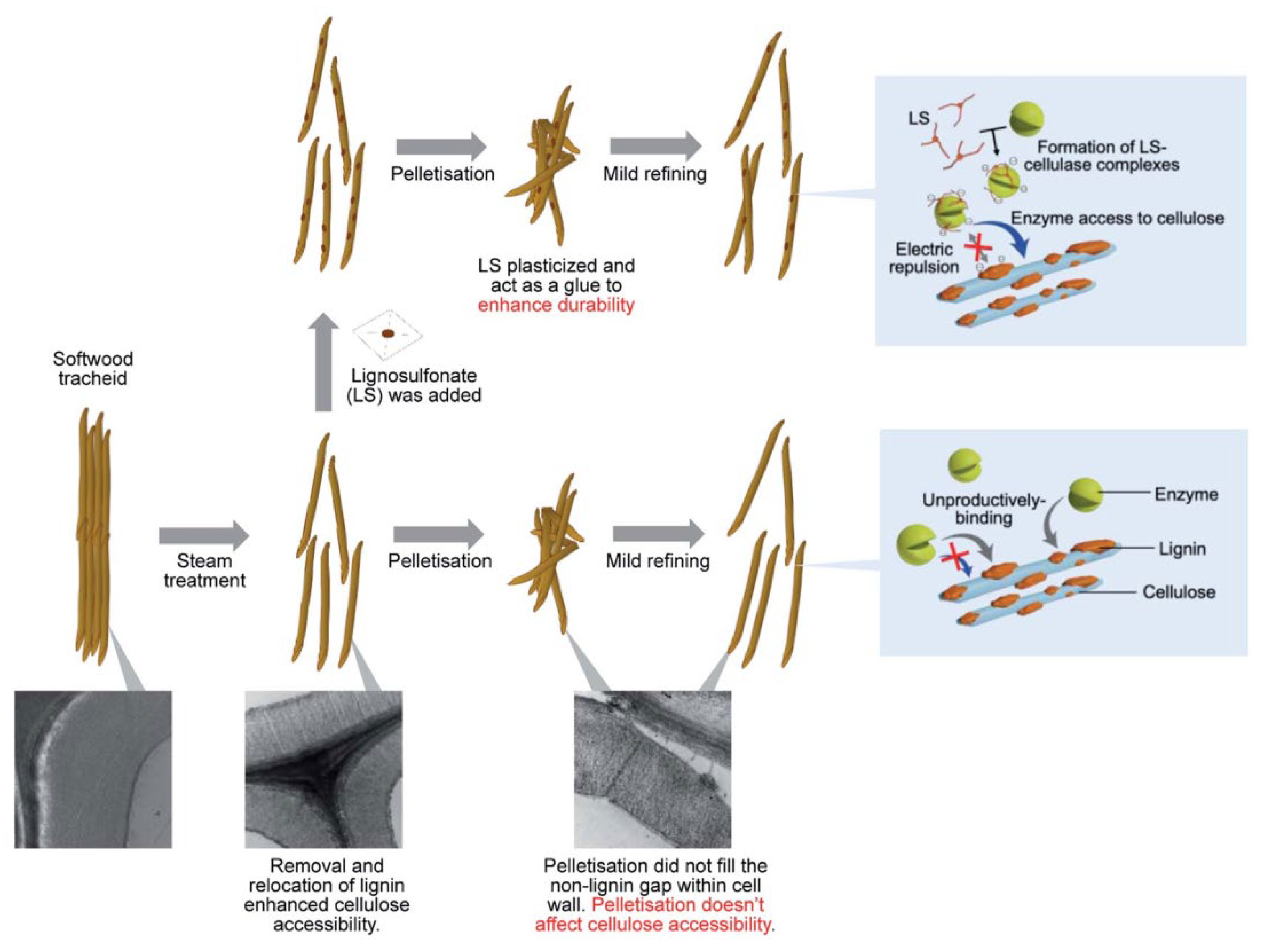 Core–shell catalyst pellets for effective reaction heat management -  ScienceDirect