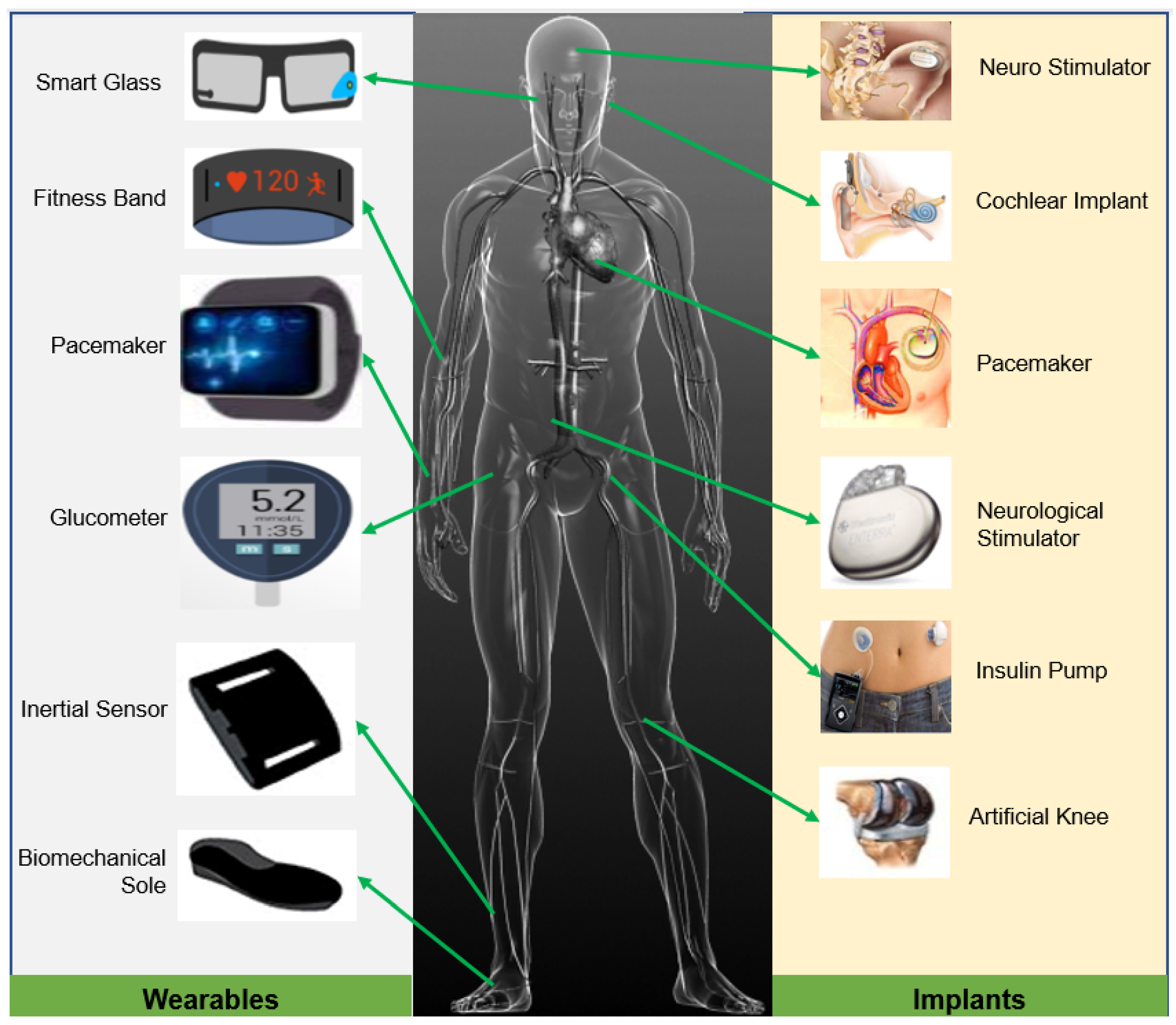 Energies | Free Full-Text | Energy Harvesting in Implantable and