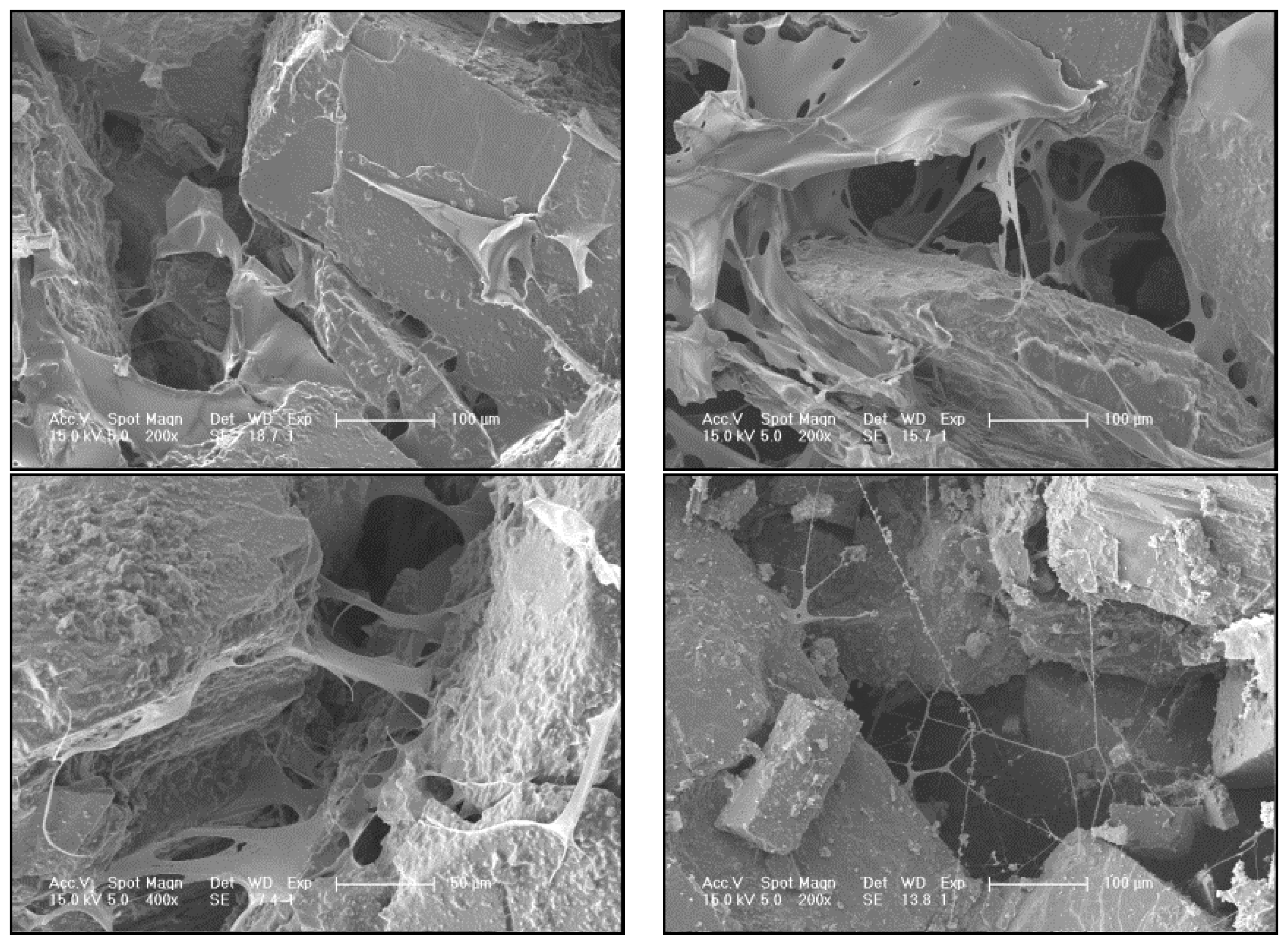 Energies 15 08096 g008