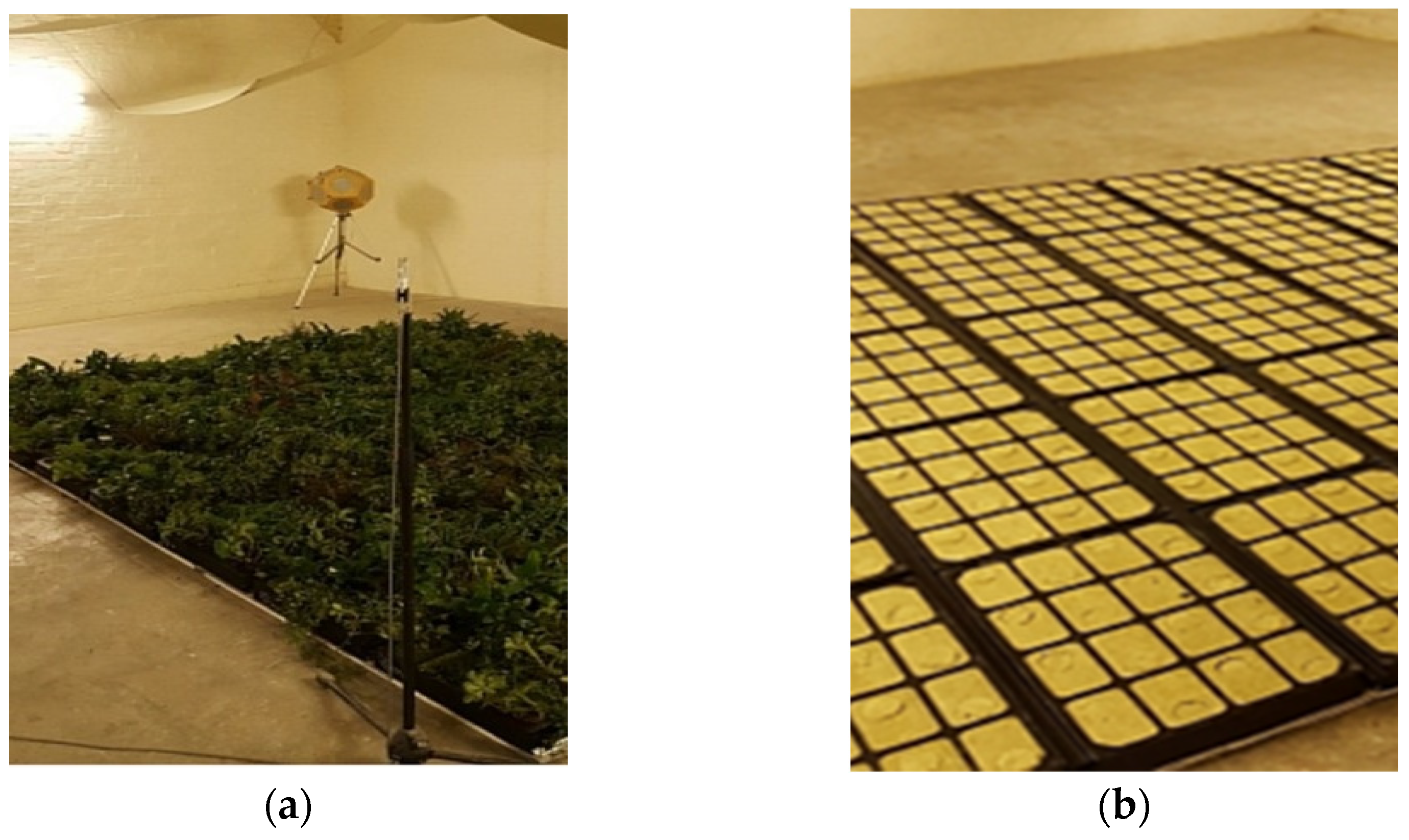 Energies 15 08097 g004